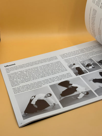 Aikido: A Beginner's Guide by Dunken Francis