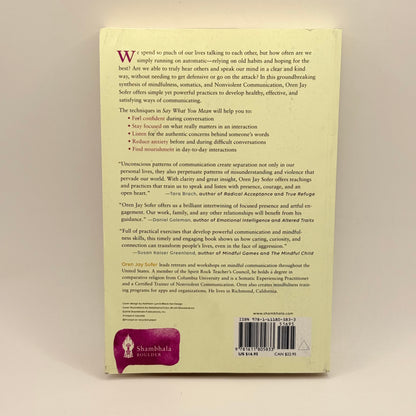 Say What You Mean by Oren Jay Sofer