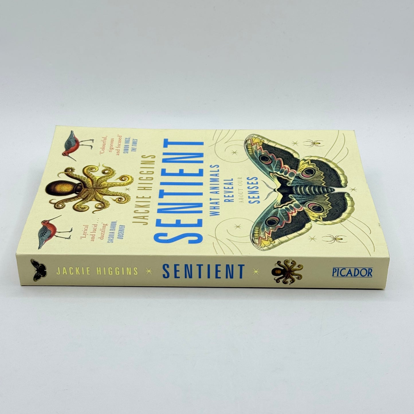 Sentient: What Animals Reveal About Our Senses by Jackie Higgins