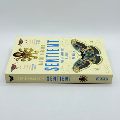 Sentient: What Animals Reveal About Our Senses by Jackie Higgins