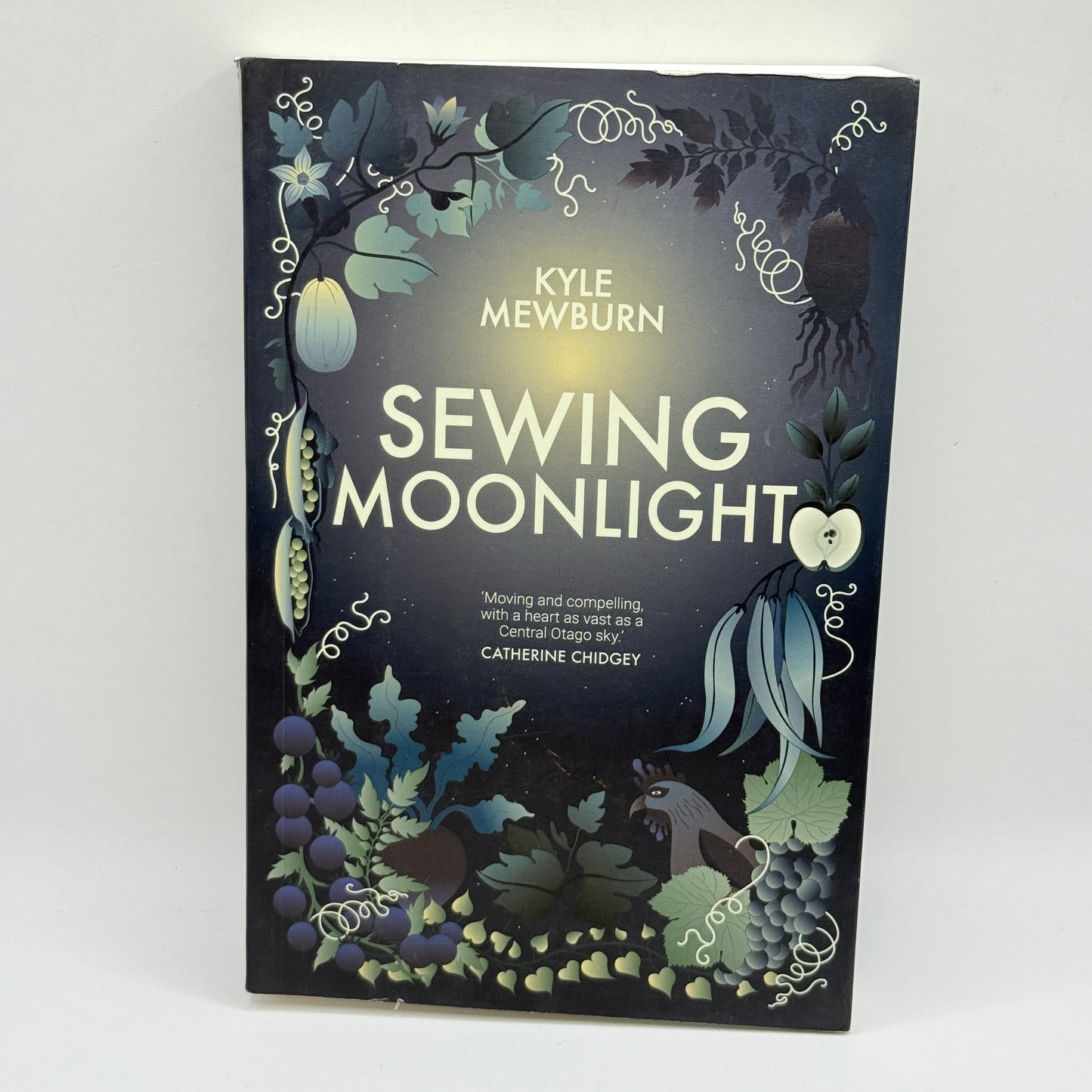 Sewing Moonlight by Kyle Mewburn