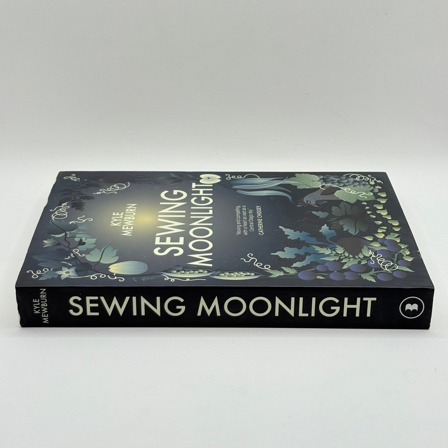 Sewing Moonlight by Kyle Mewburn