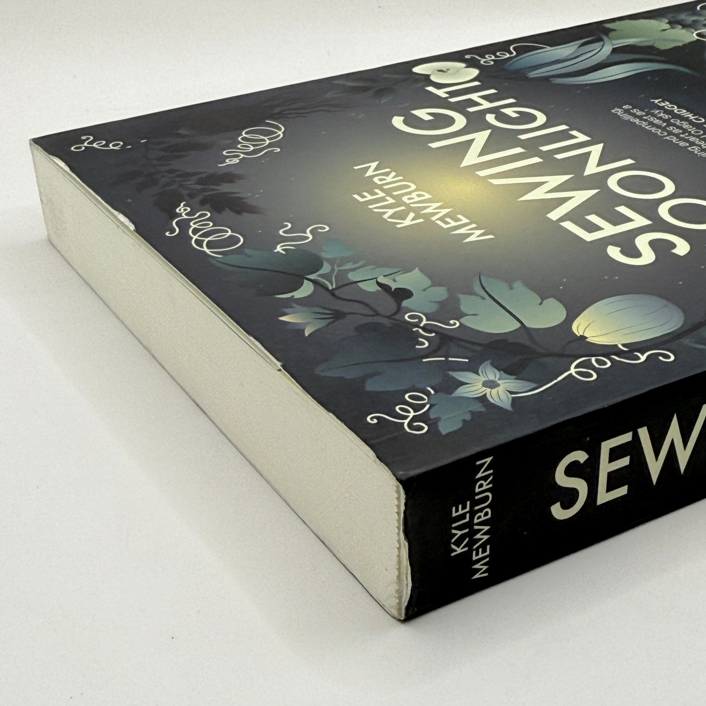 Sewing Moonlight by Kyle Mewburn