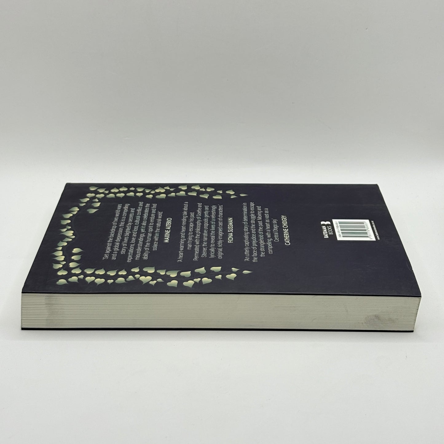 Sewing Moonlight by Kyle Mewburn