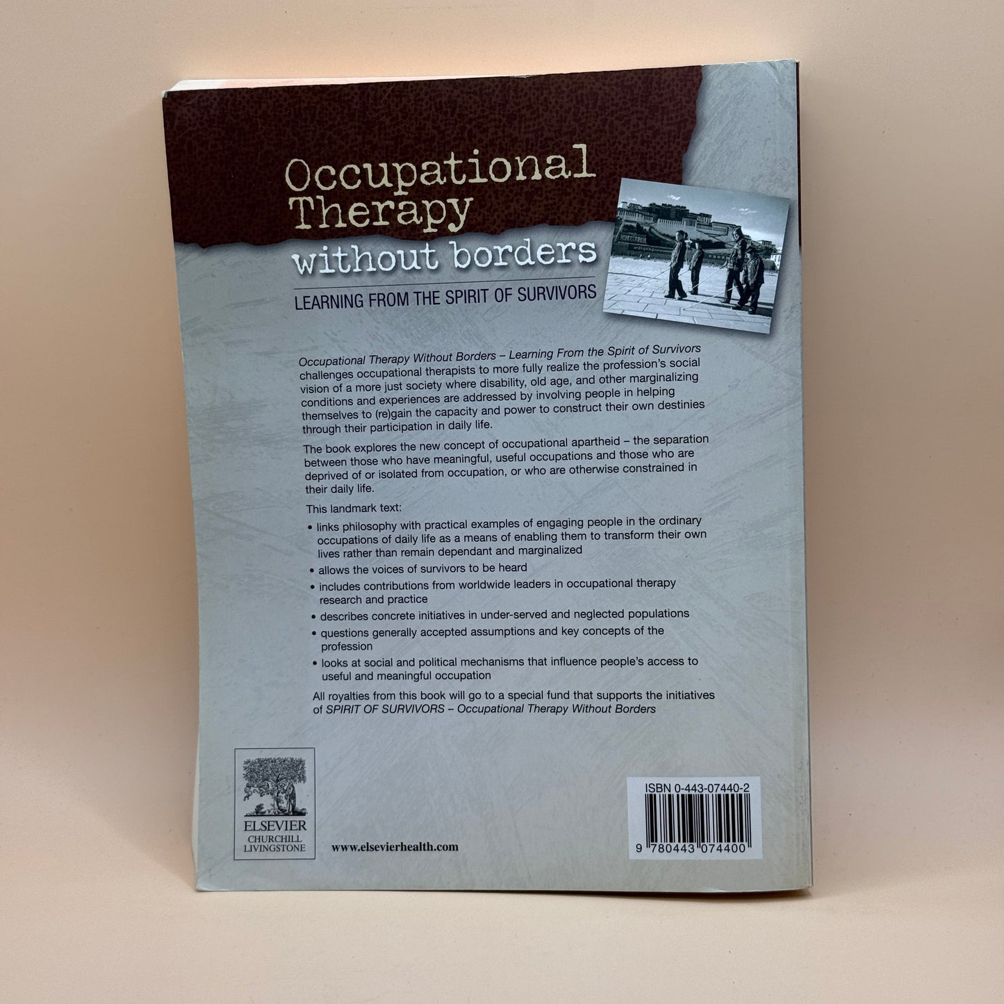 Occupational Therapy Without Borders: Learning From the Spirit of Survivors by Frank Kronenberg, Salvador Simó Algado & Nick Pollard