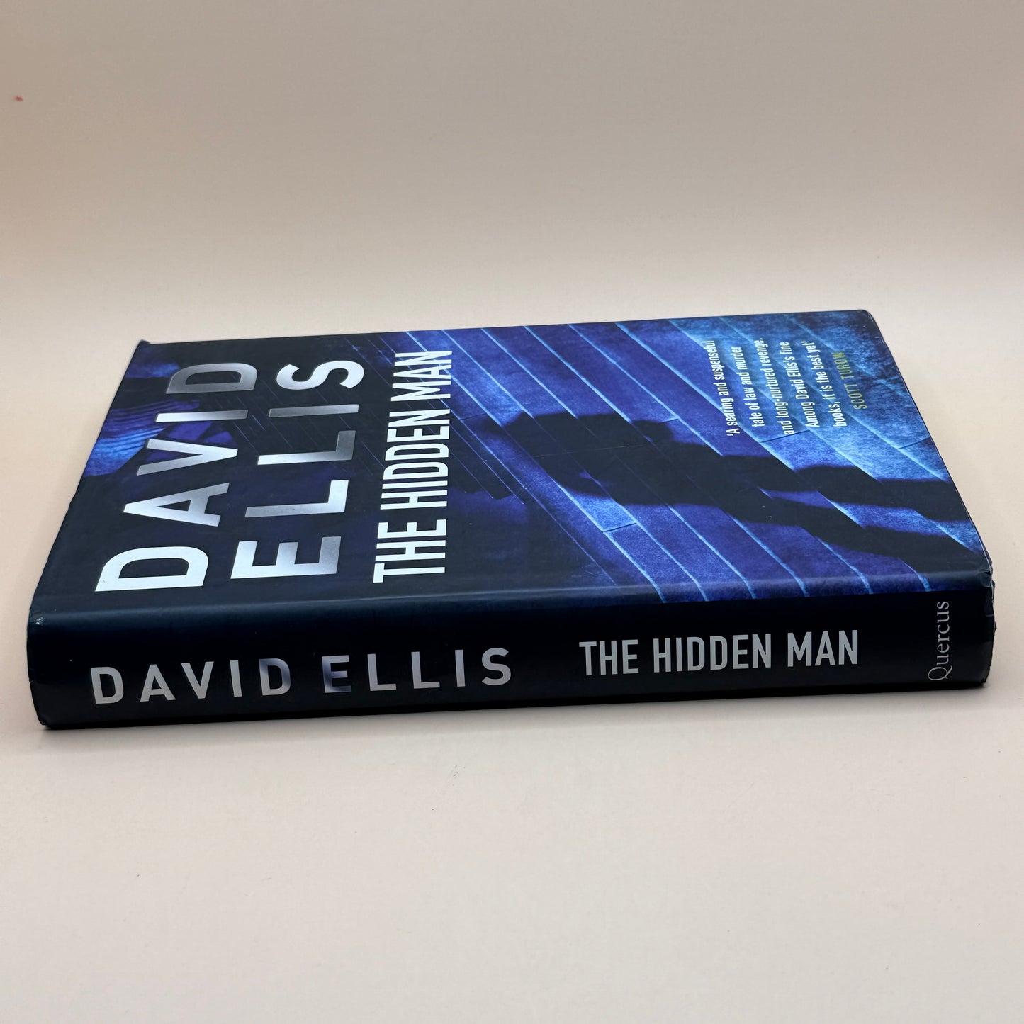 The Hidden Man by David Ellis