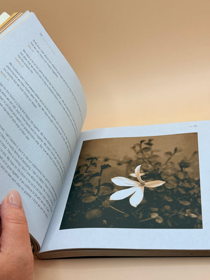 Manual Content Love In Aotearoa By Karen Mcmillan
