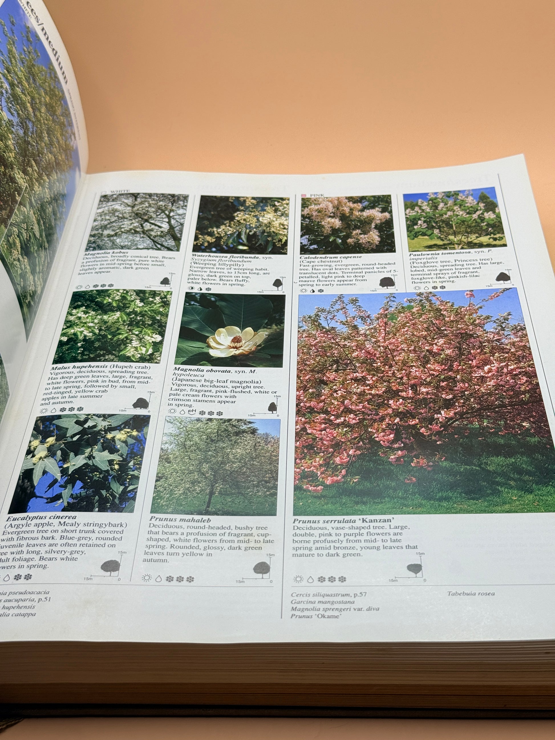 The Reader’s Digest Gardeners’ Encyclopedia Of Plants And Flowers By Reader’s Digest