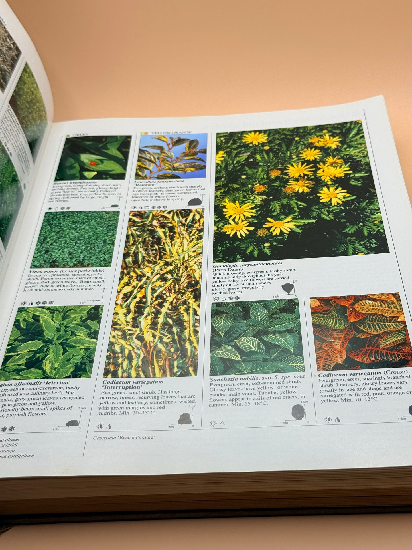 The Reader’s Digest Gardeners’ Encyclopedia Of Plants And Flowers By Reader’s Digest