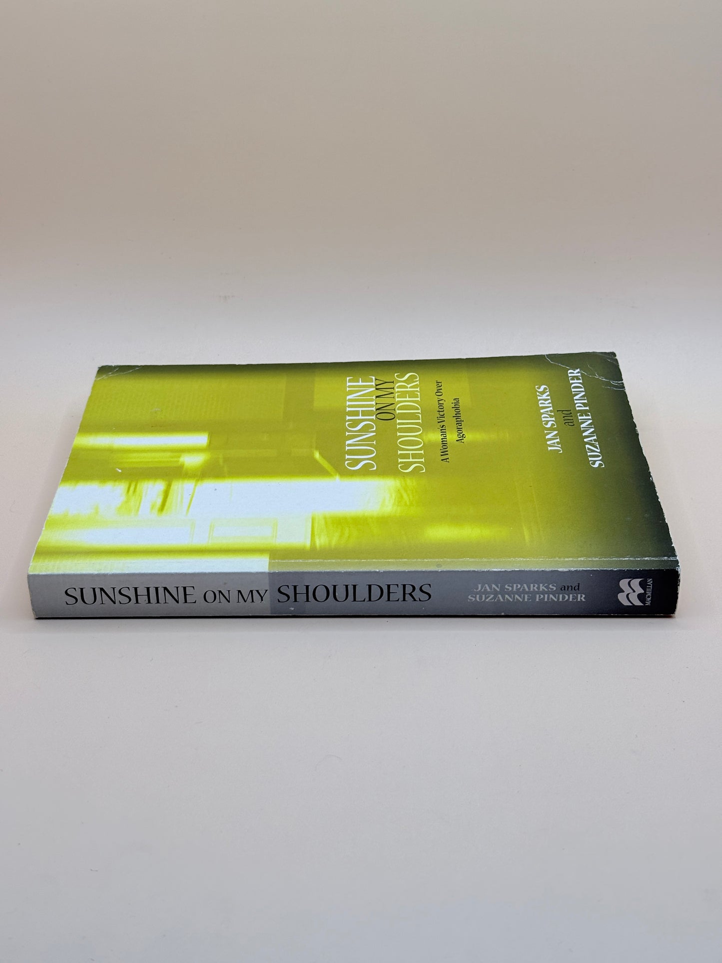 Sunshine On My Shoulders By Jan Sparks And Suzanne Pinder
