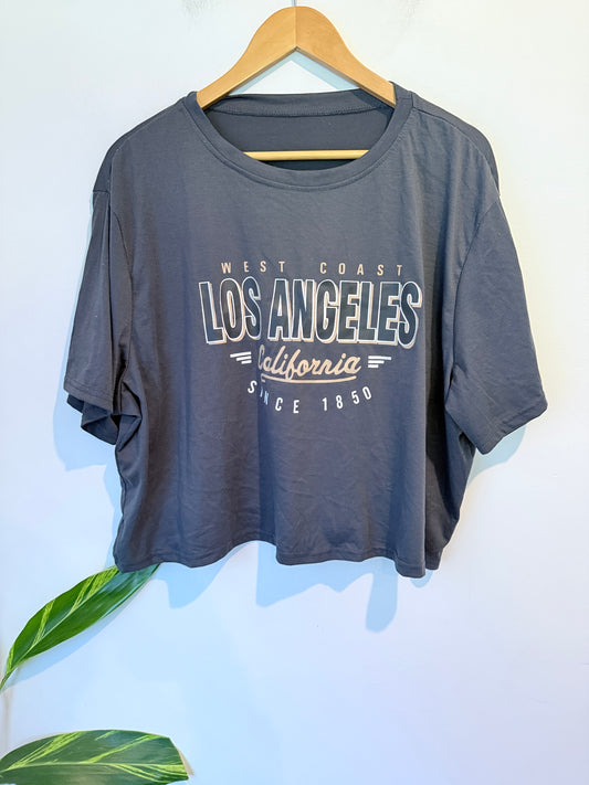 Shein Graphic Crop Tee Size 4XL