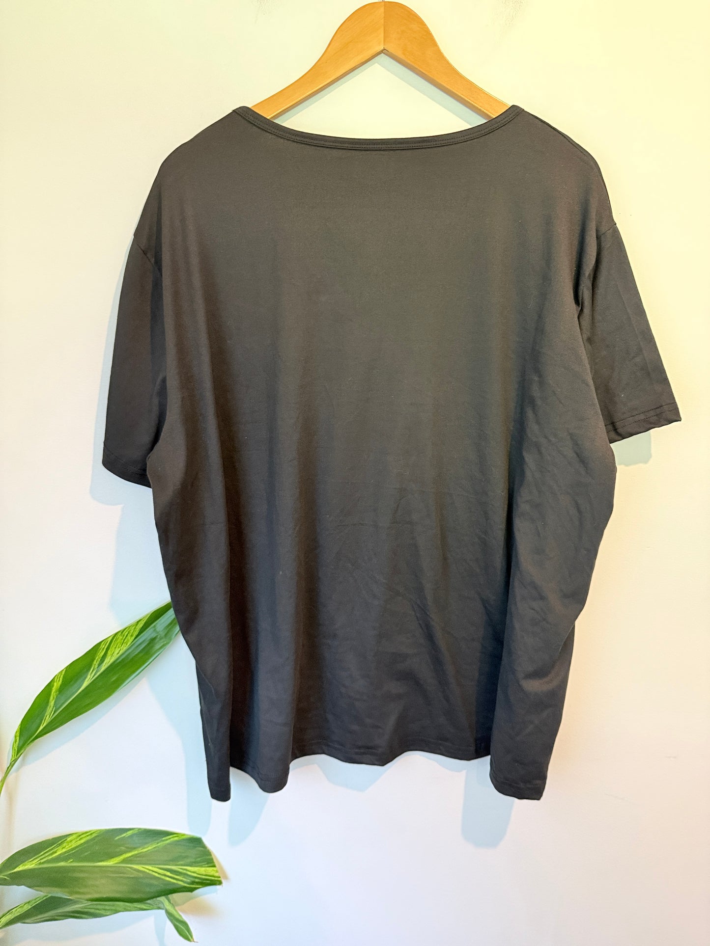 Brand Unknown Graphic V-neck T-shirt Size U/Arm to U/Arm 71cm