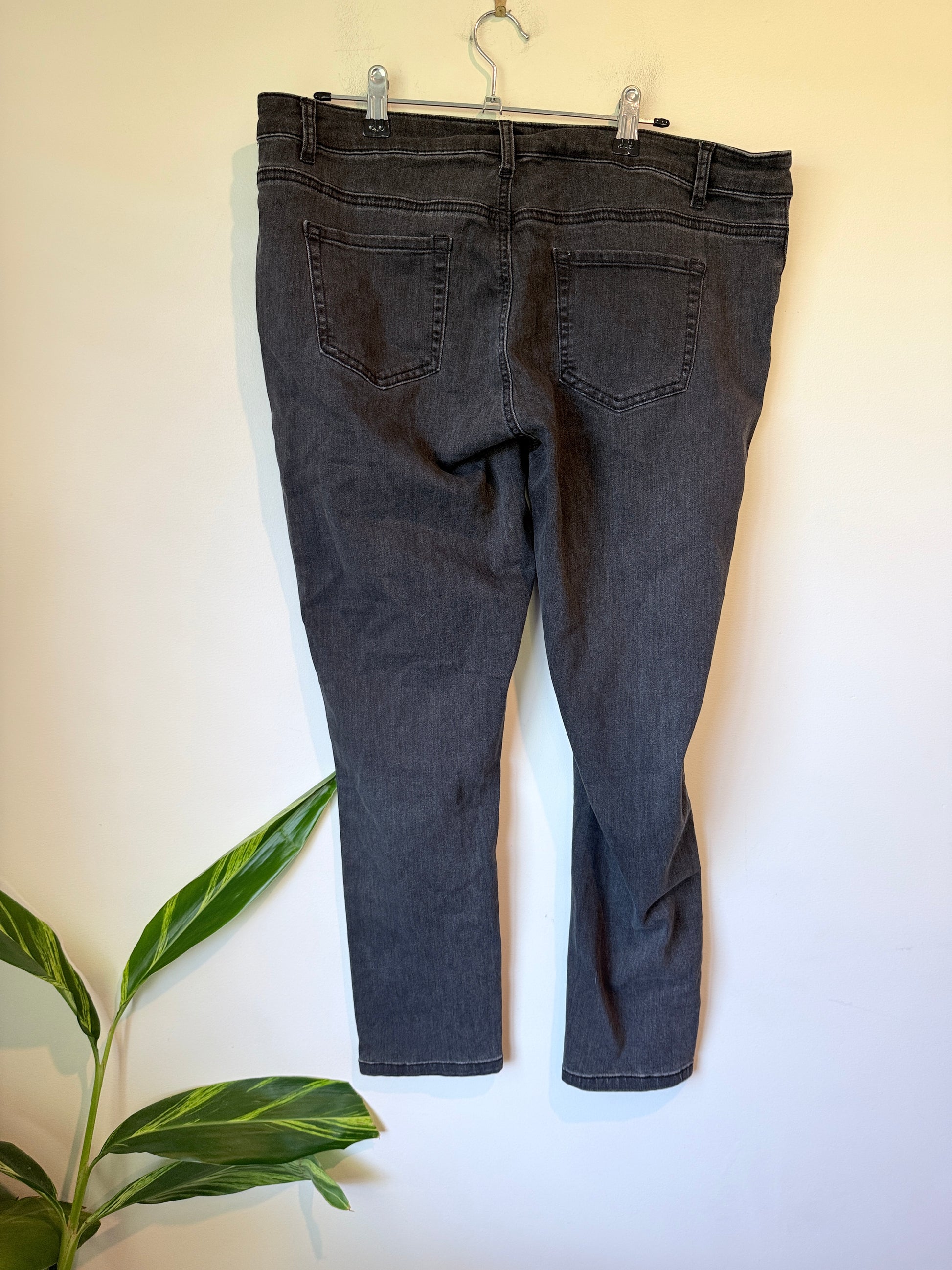 Urban Denim Jeans