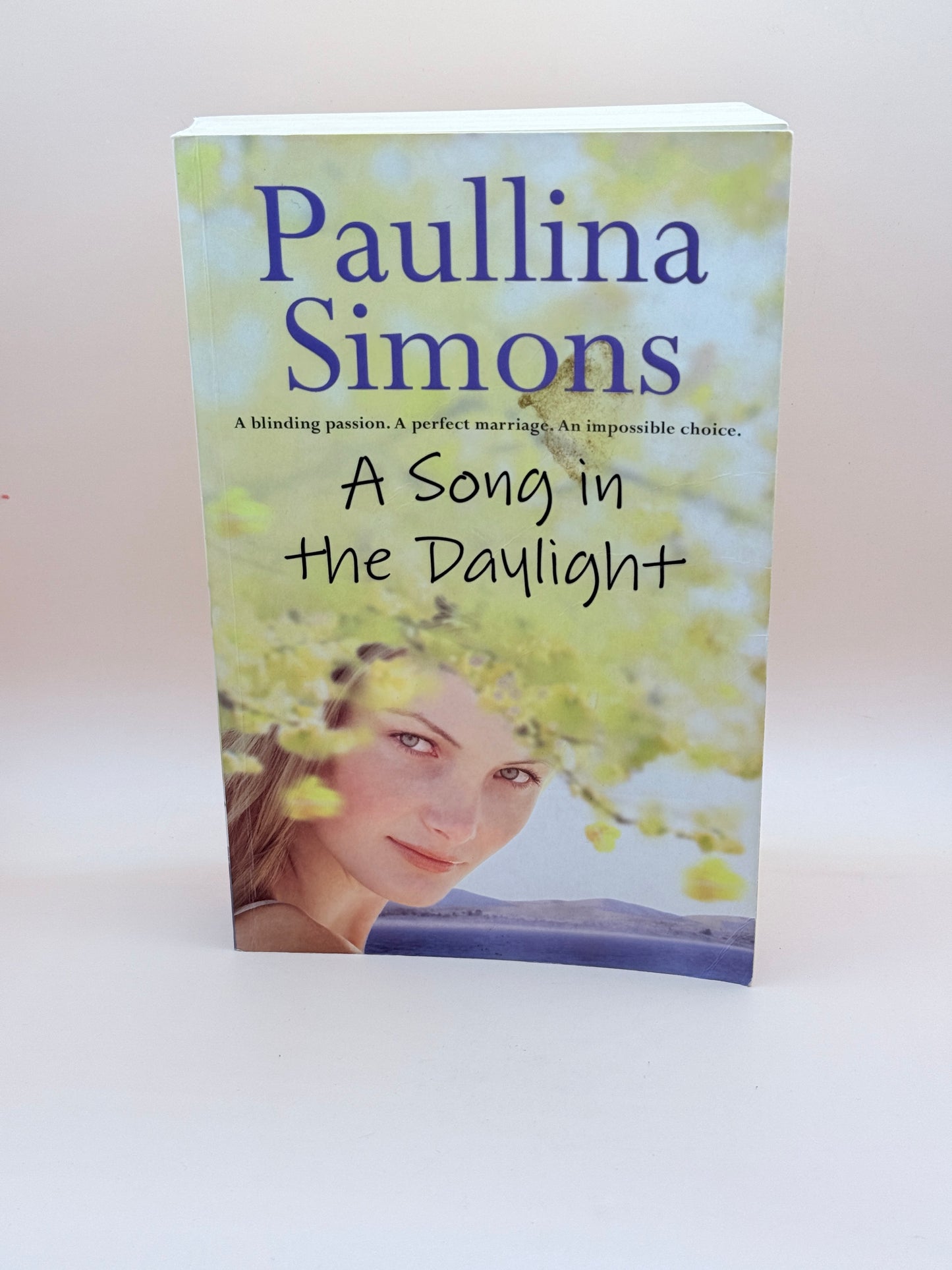 A Song In The Daylight By Paulina Simons
