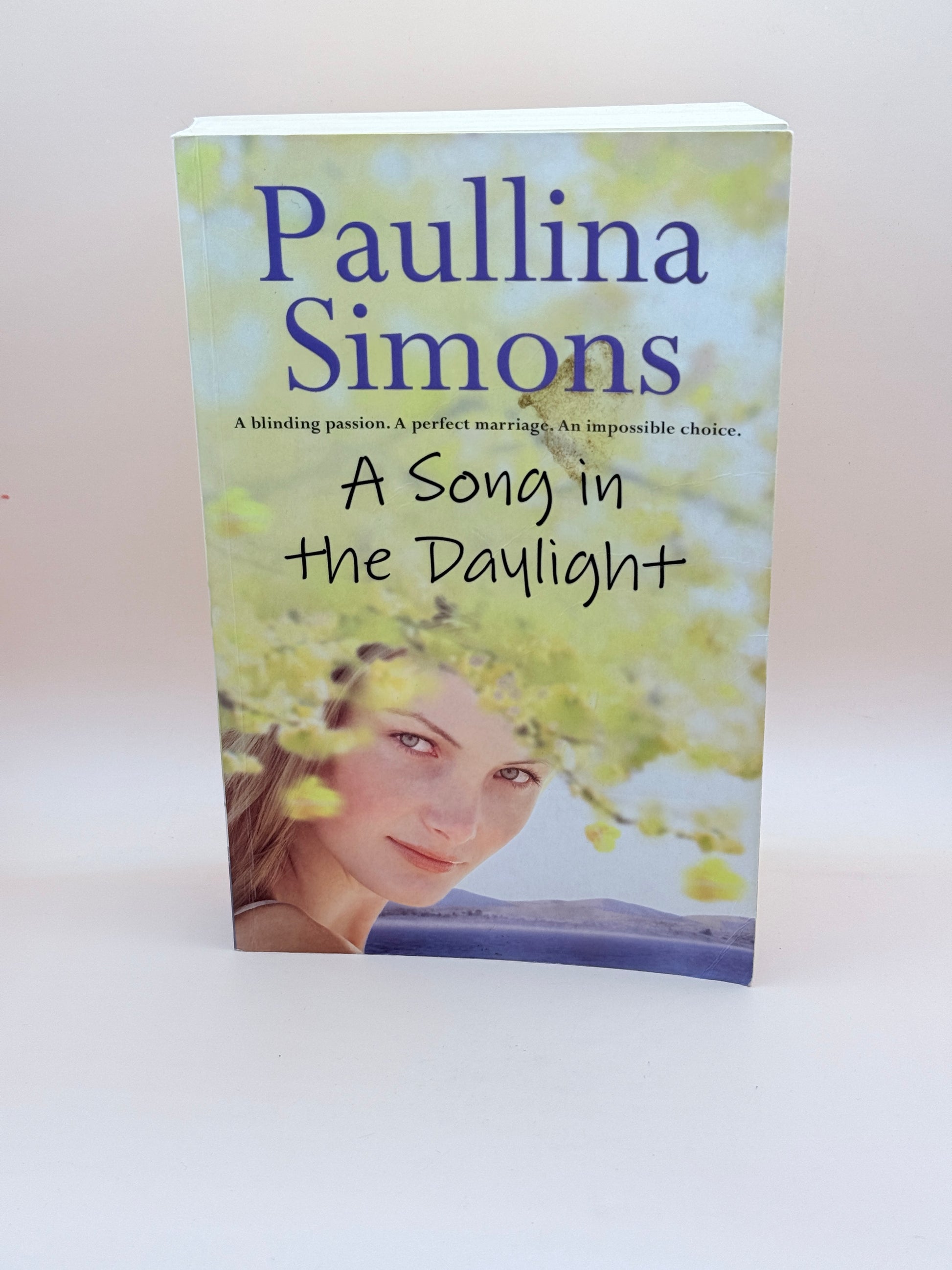 A Song In The Daylight By Paulina Simons