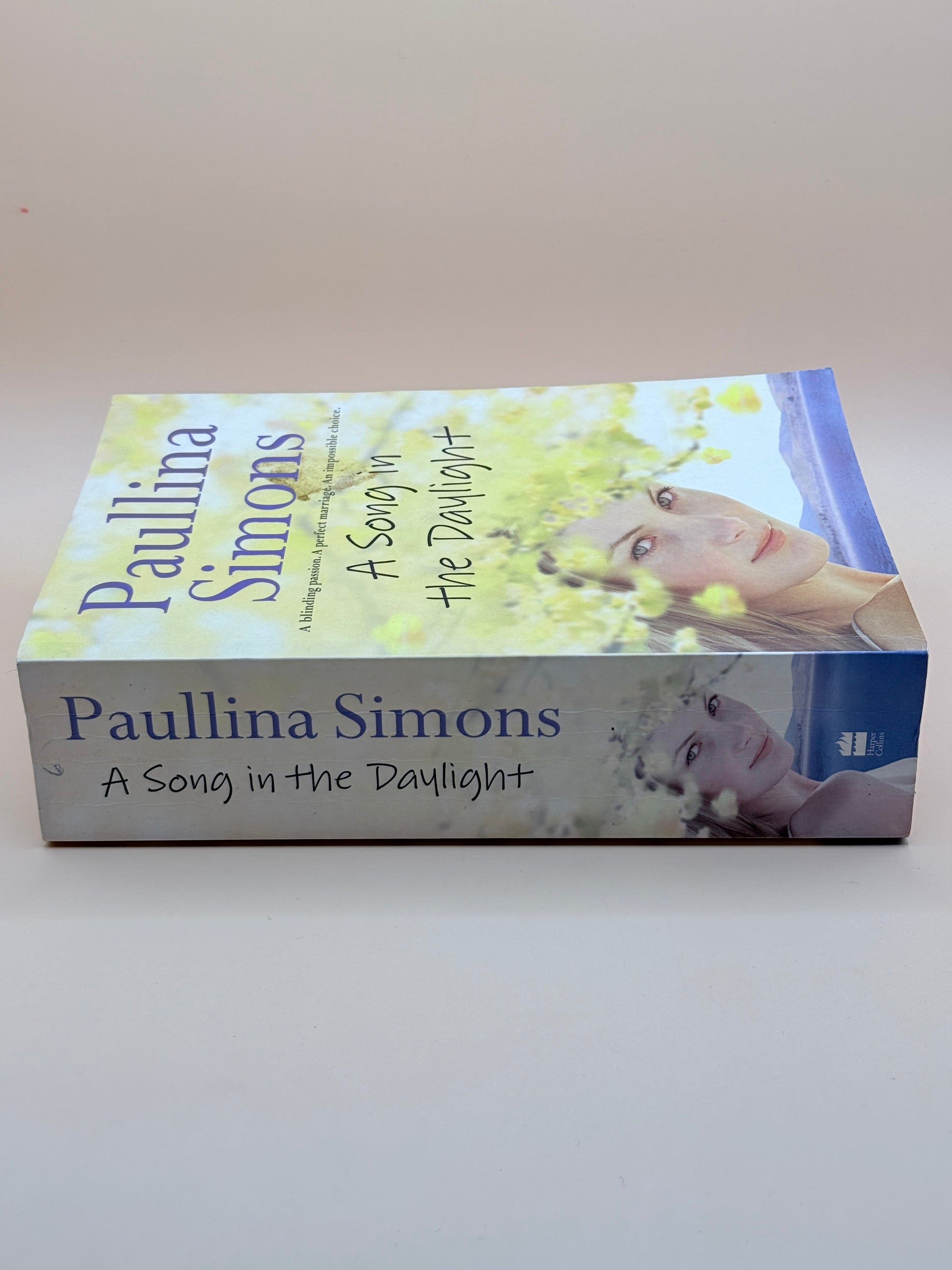 A Song In The Daylight By Paulina Simons