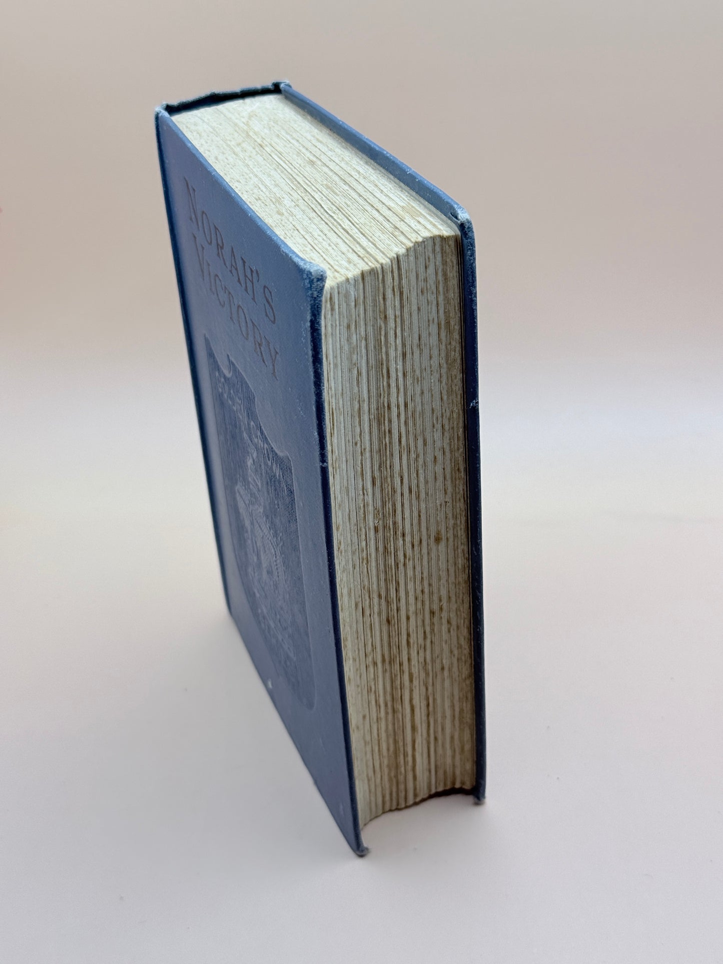 Norah’s Victory By Laura A. Barter Snow