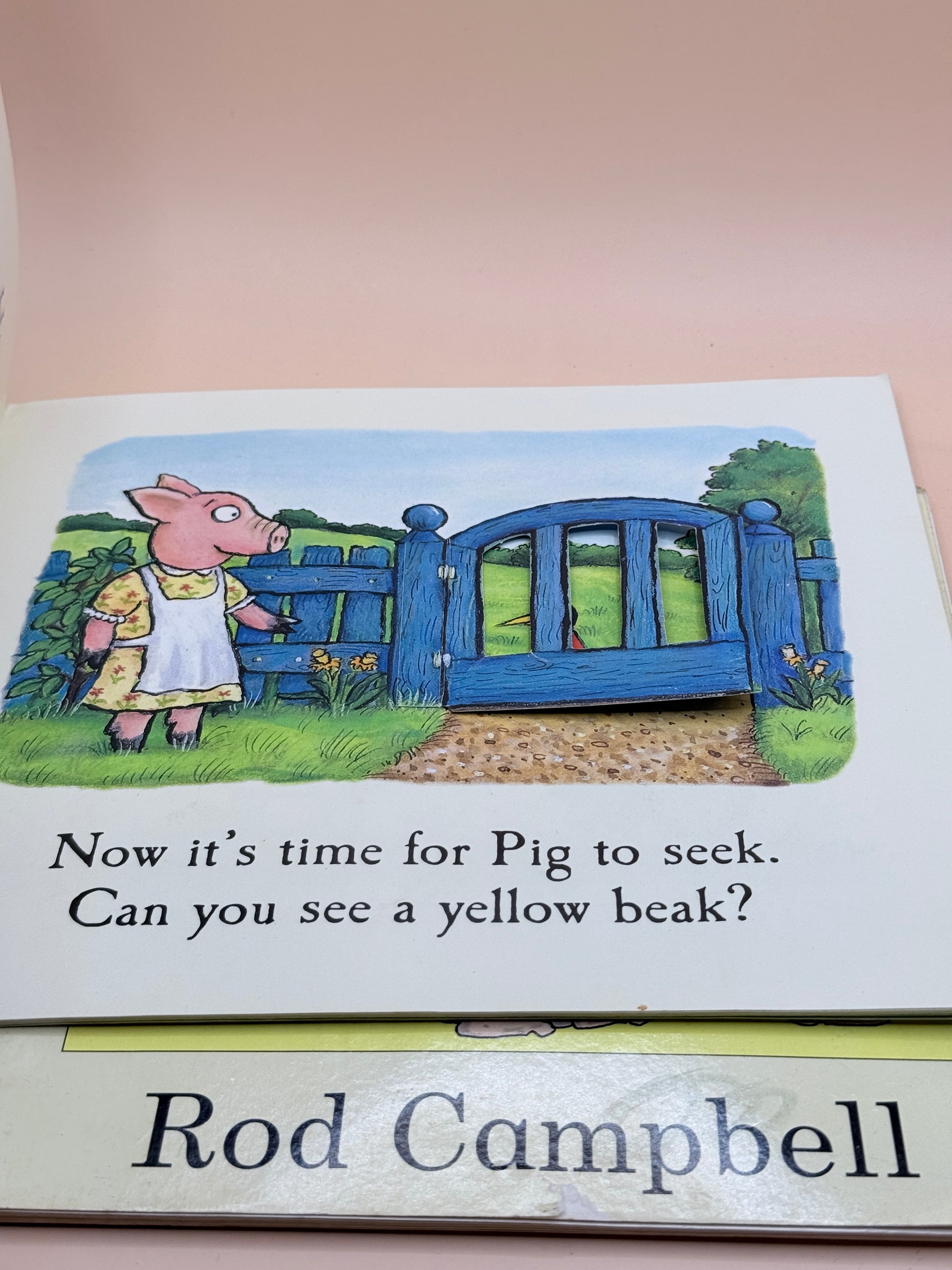 Children’s Reading Book Set By Various Authors