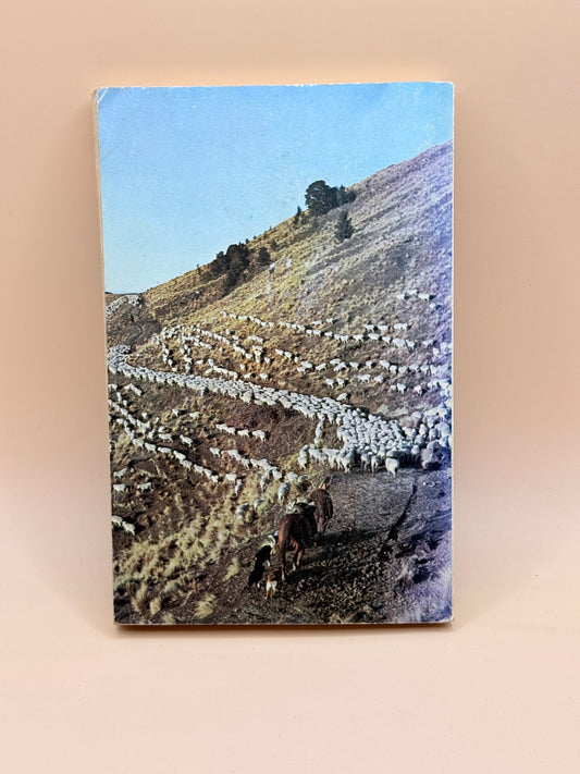 New Zealand By M. H. Holcroft