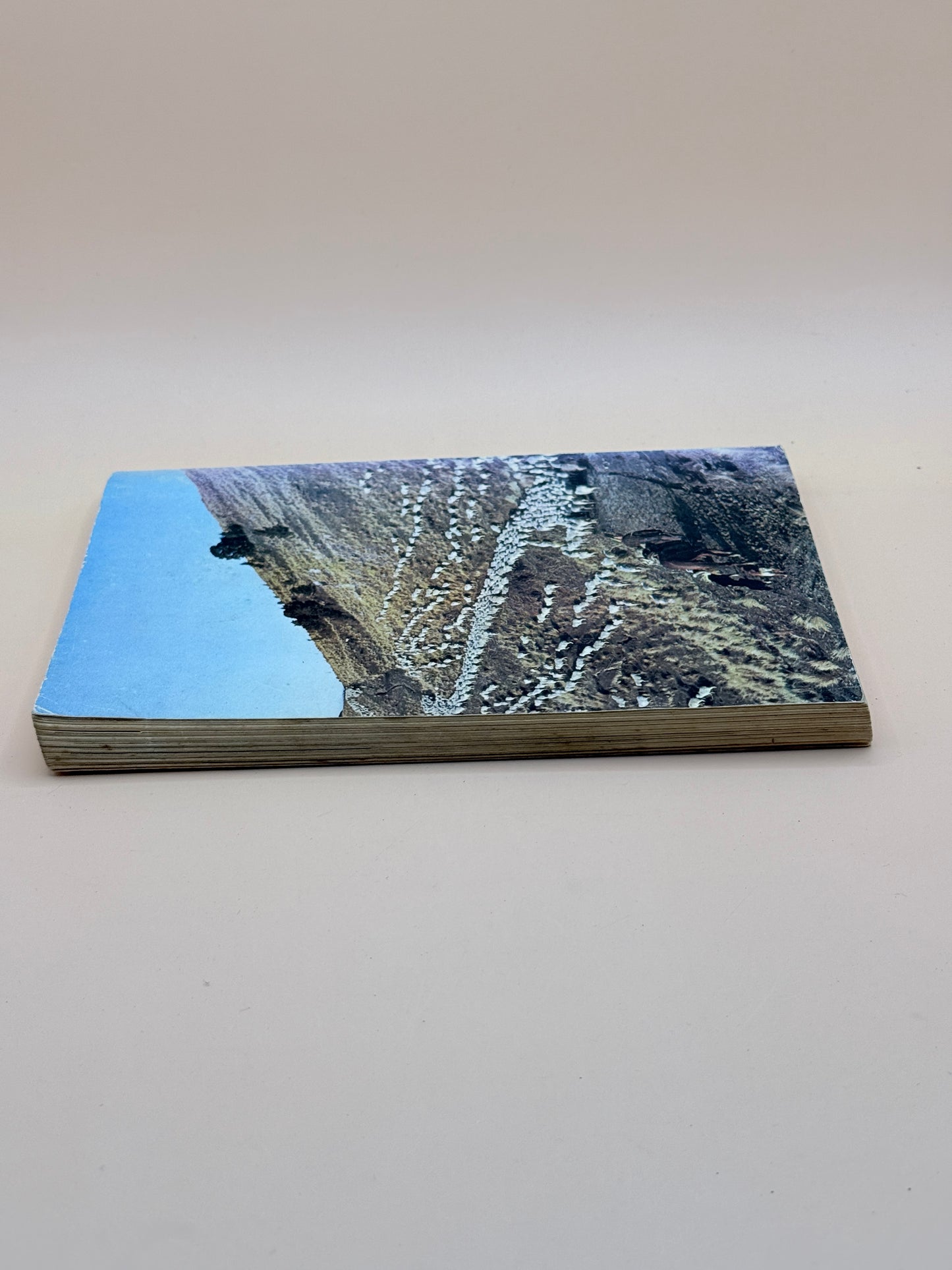 New Zealand By M. H. Holcroft