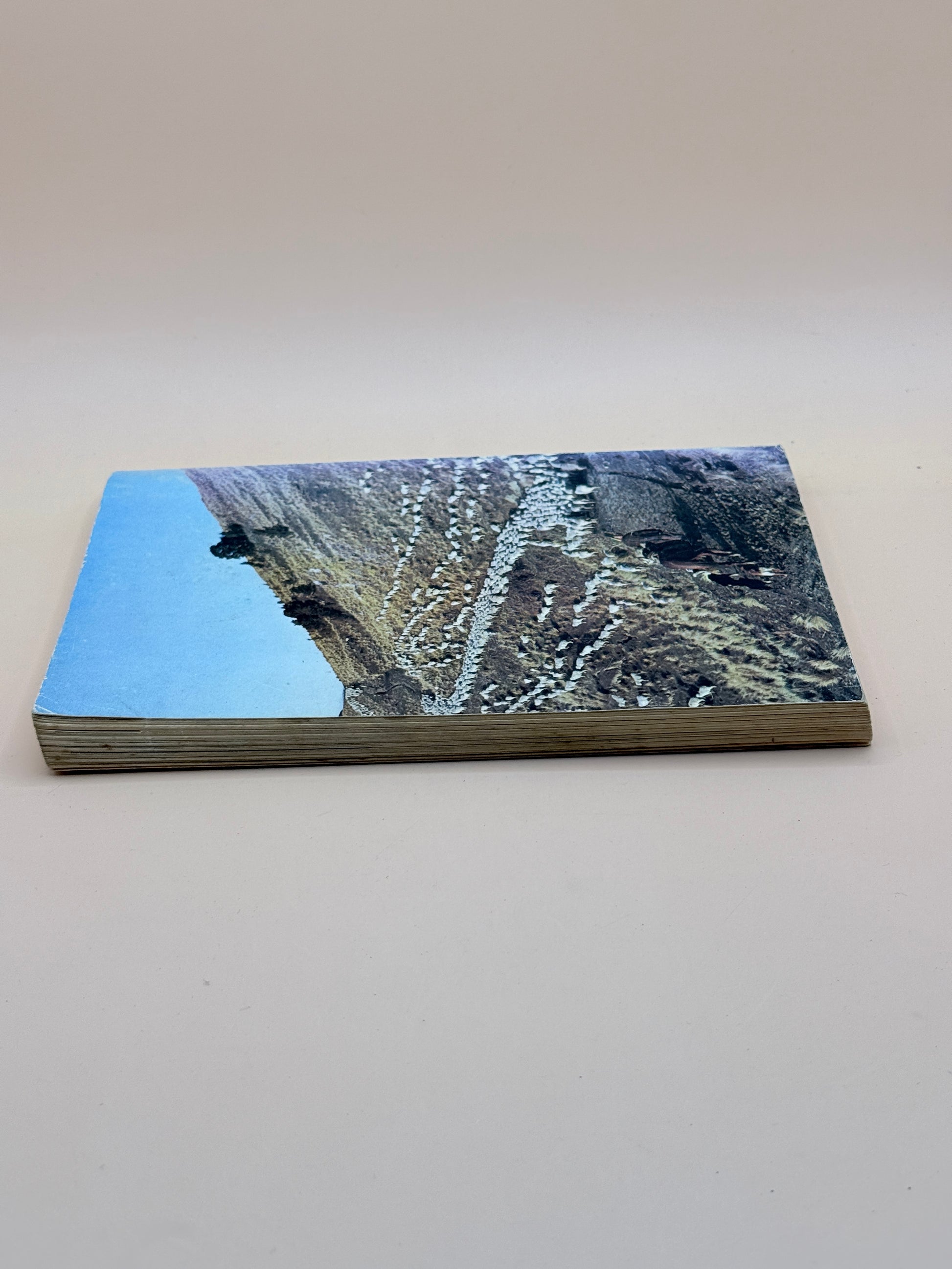 New Zealand By M. H. Holcroft