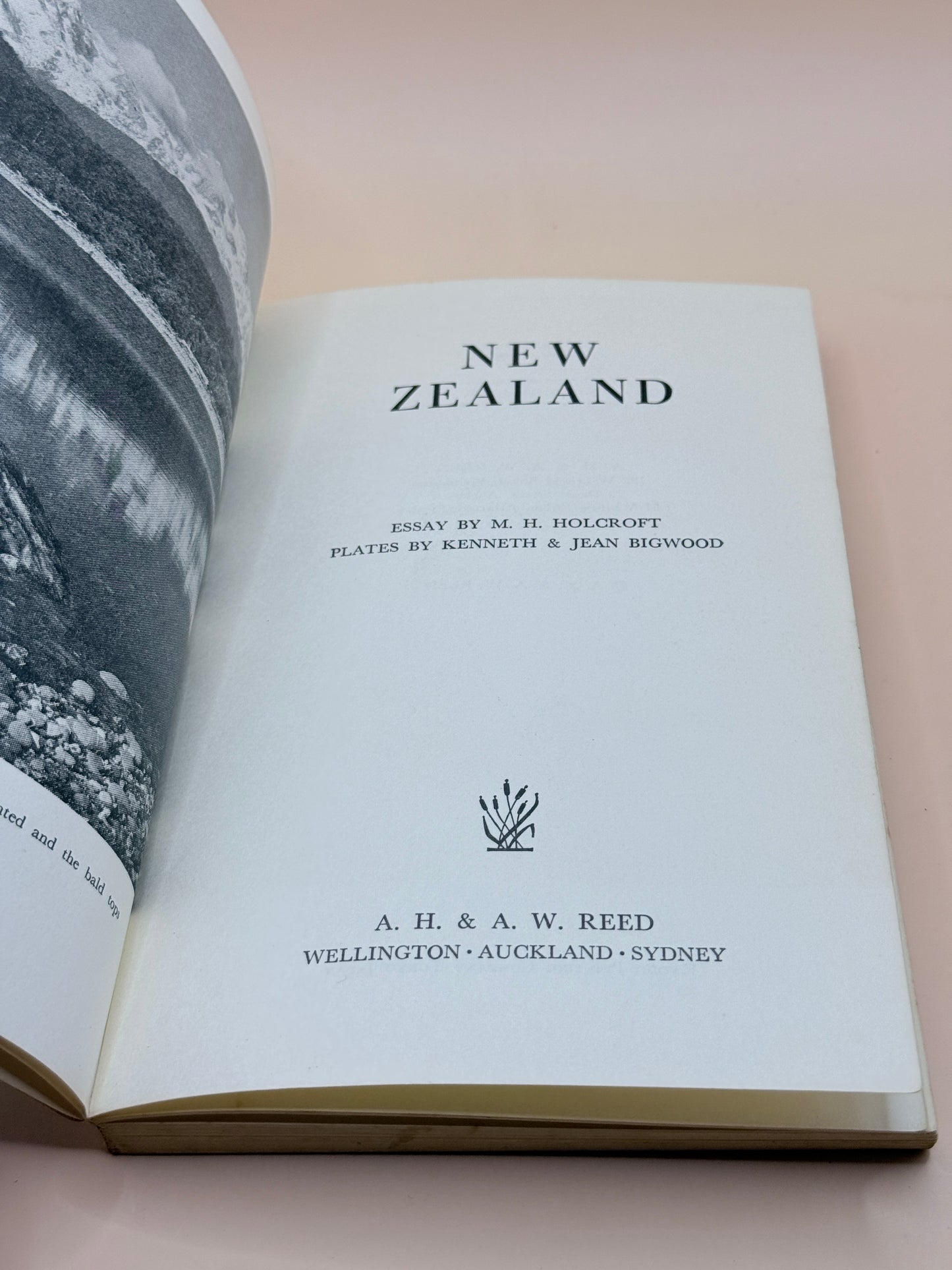 New Zealand By M. H. Holcroft