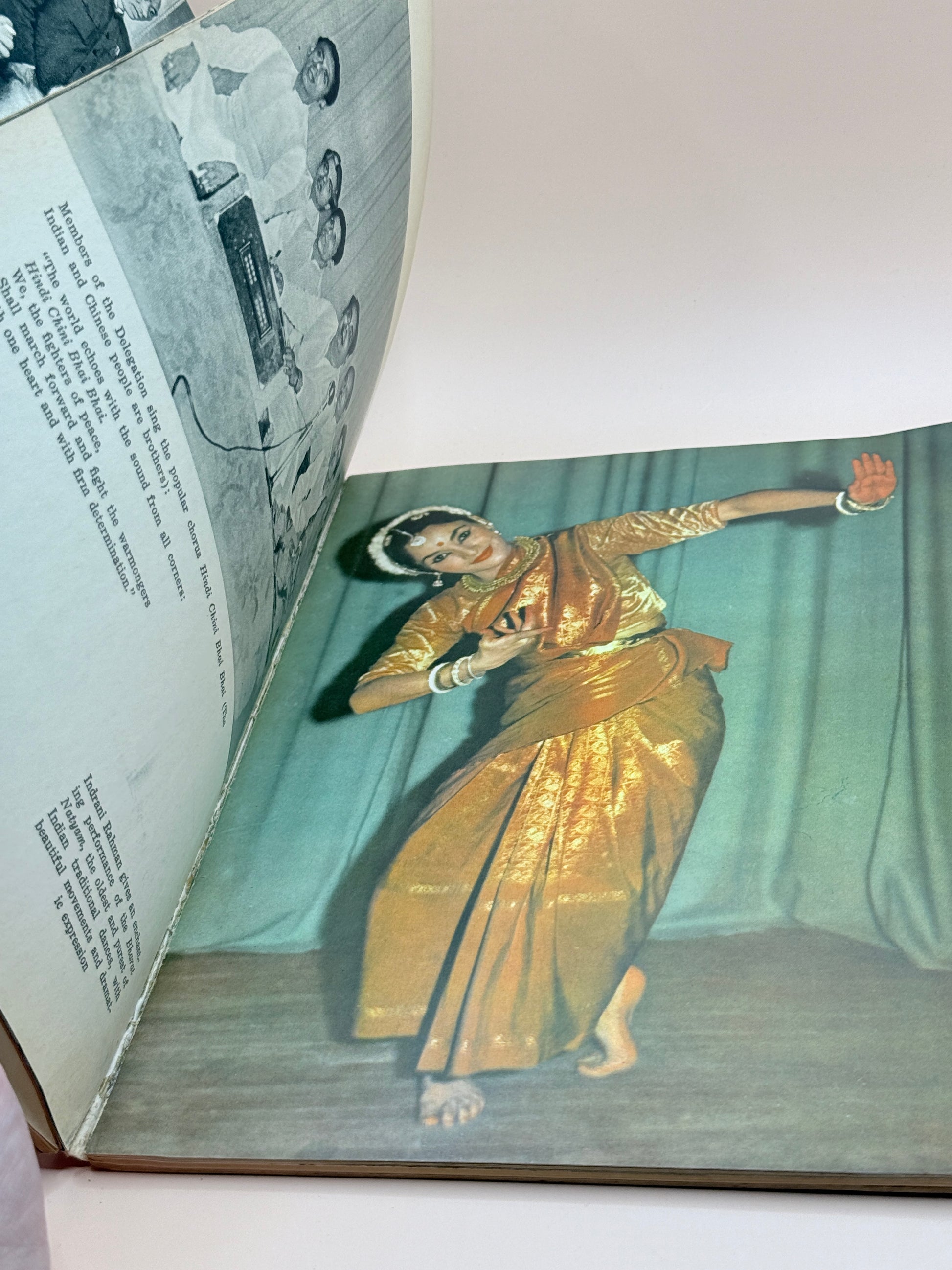 The Indian Cultural Delegation In China