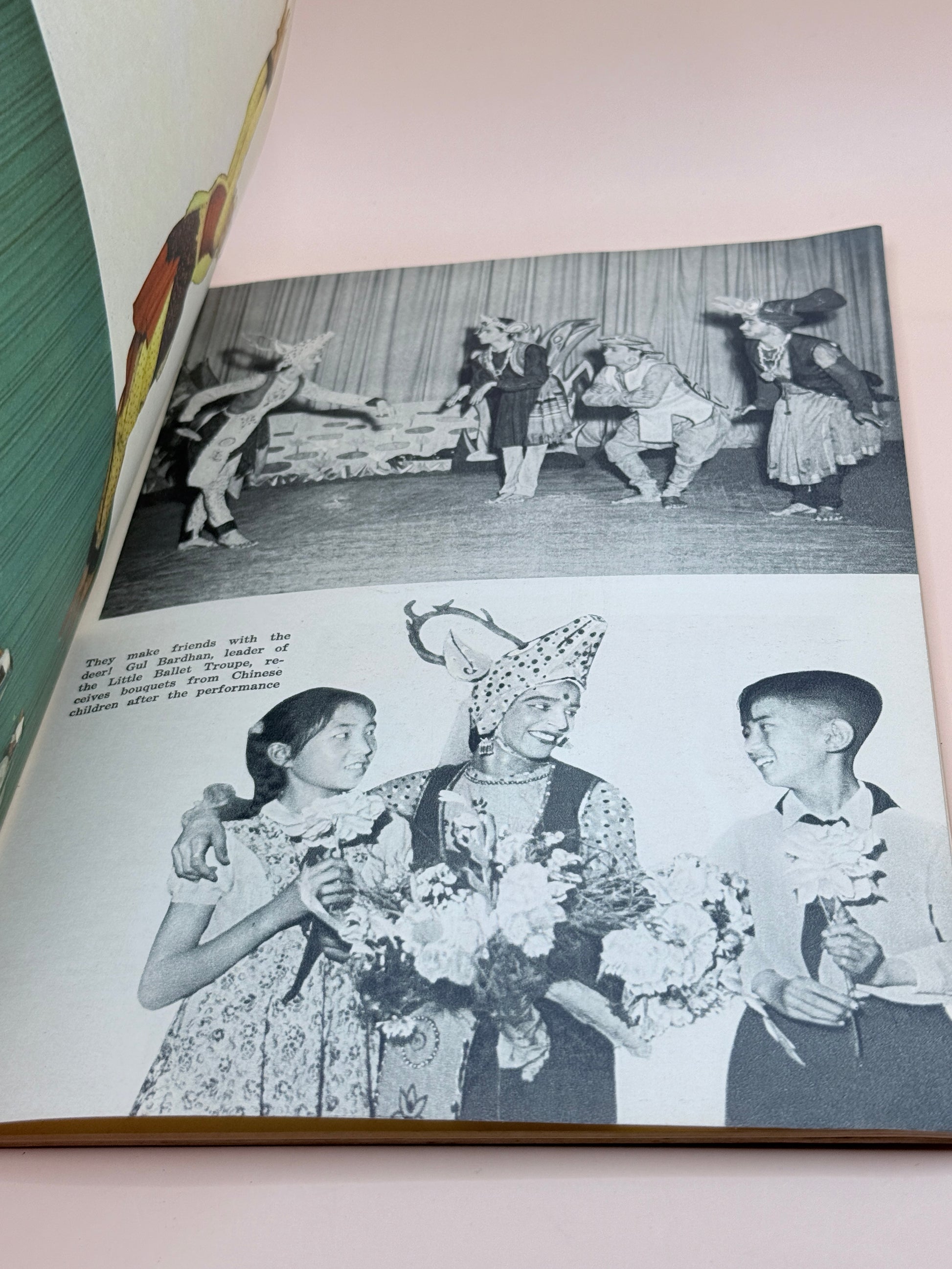 The Indian Cultural Delegation In China