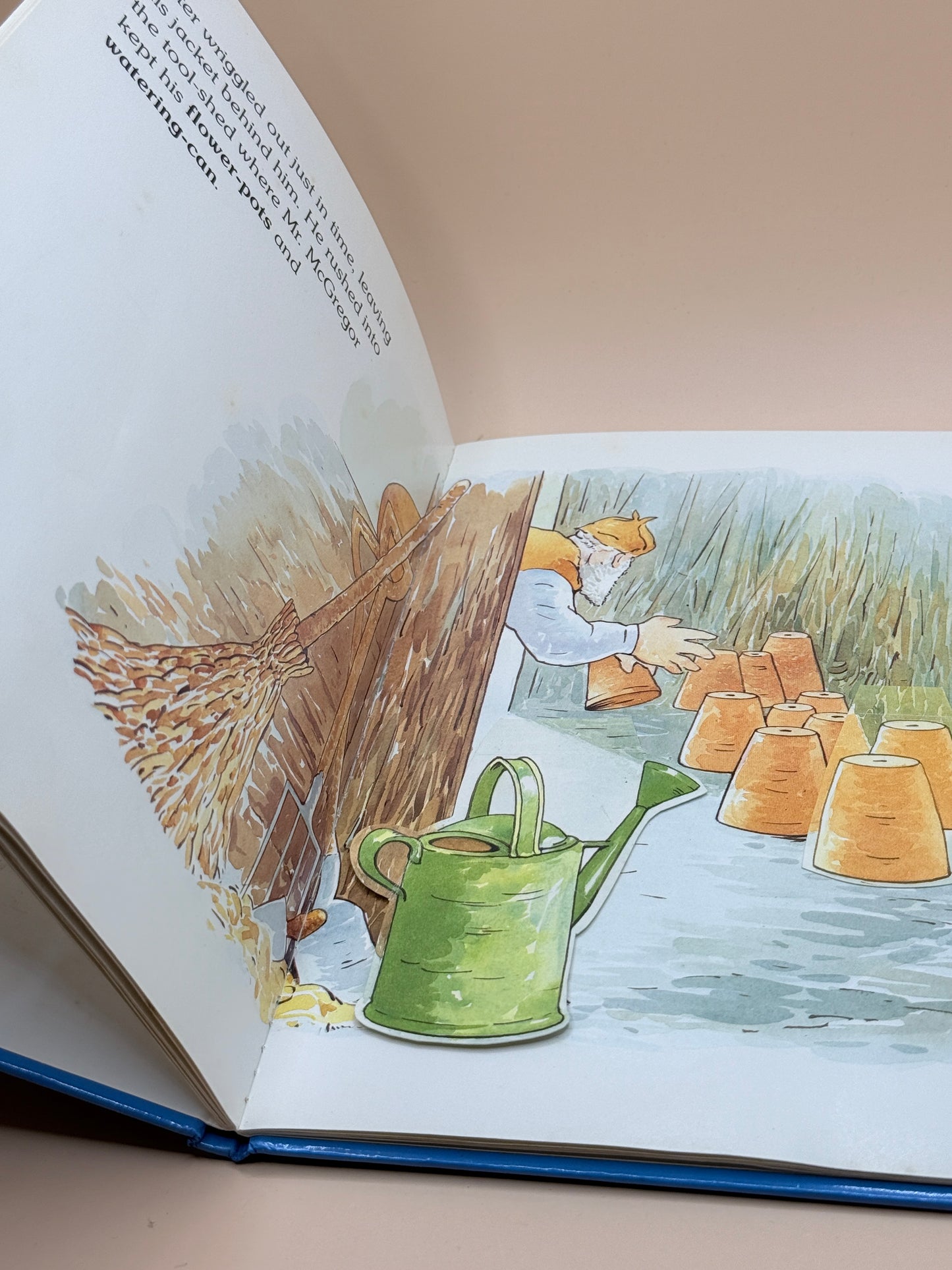 Where's Peter Rabbit? By Beatrix Potter