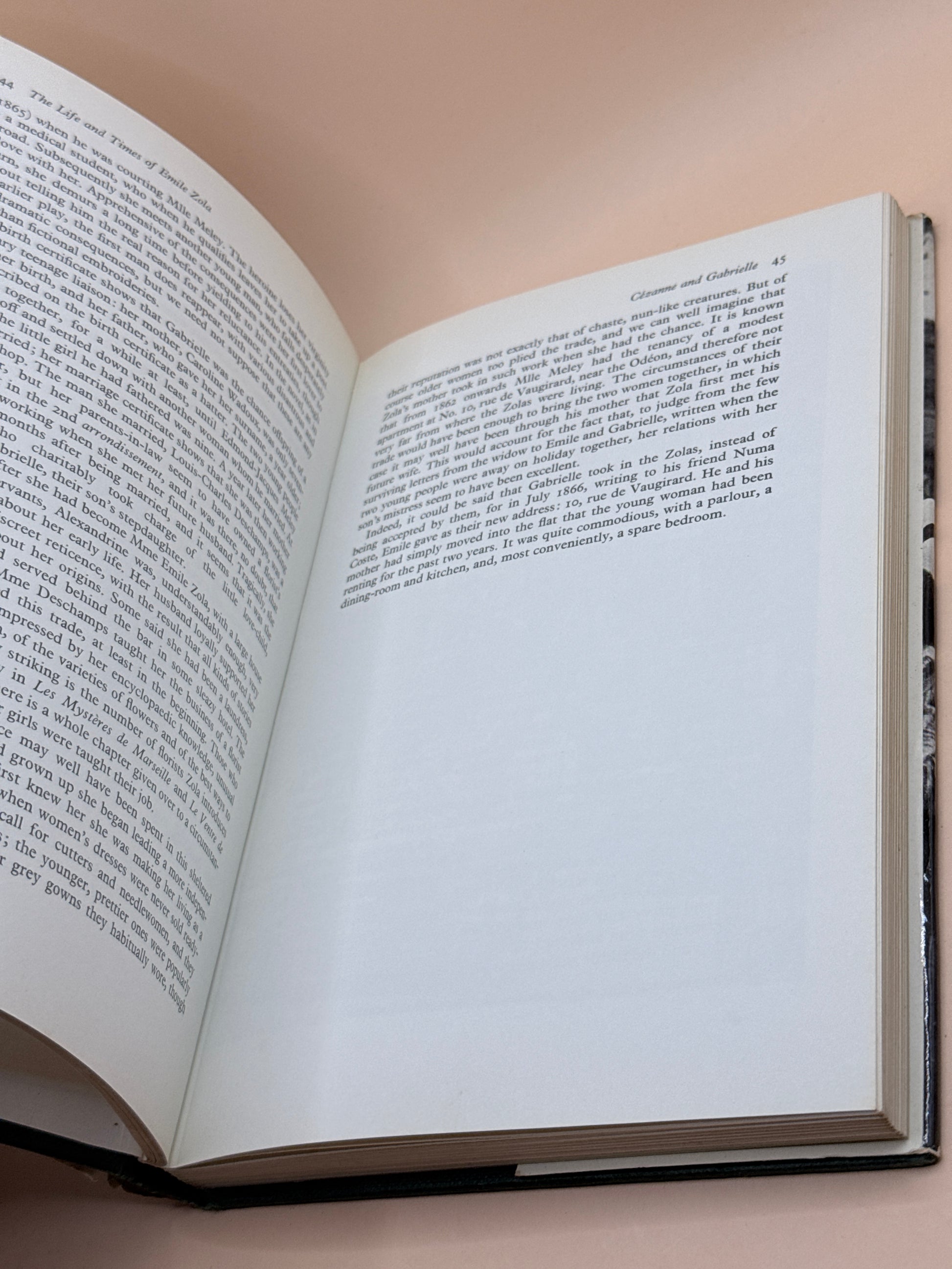 The Life And Times Of Emile Zola By F. W. J. Hemmings