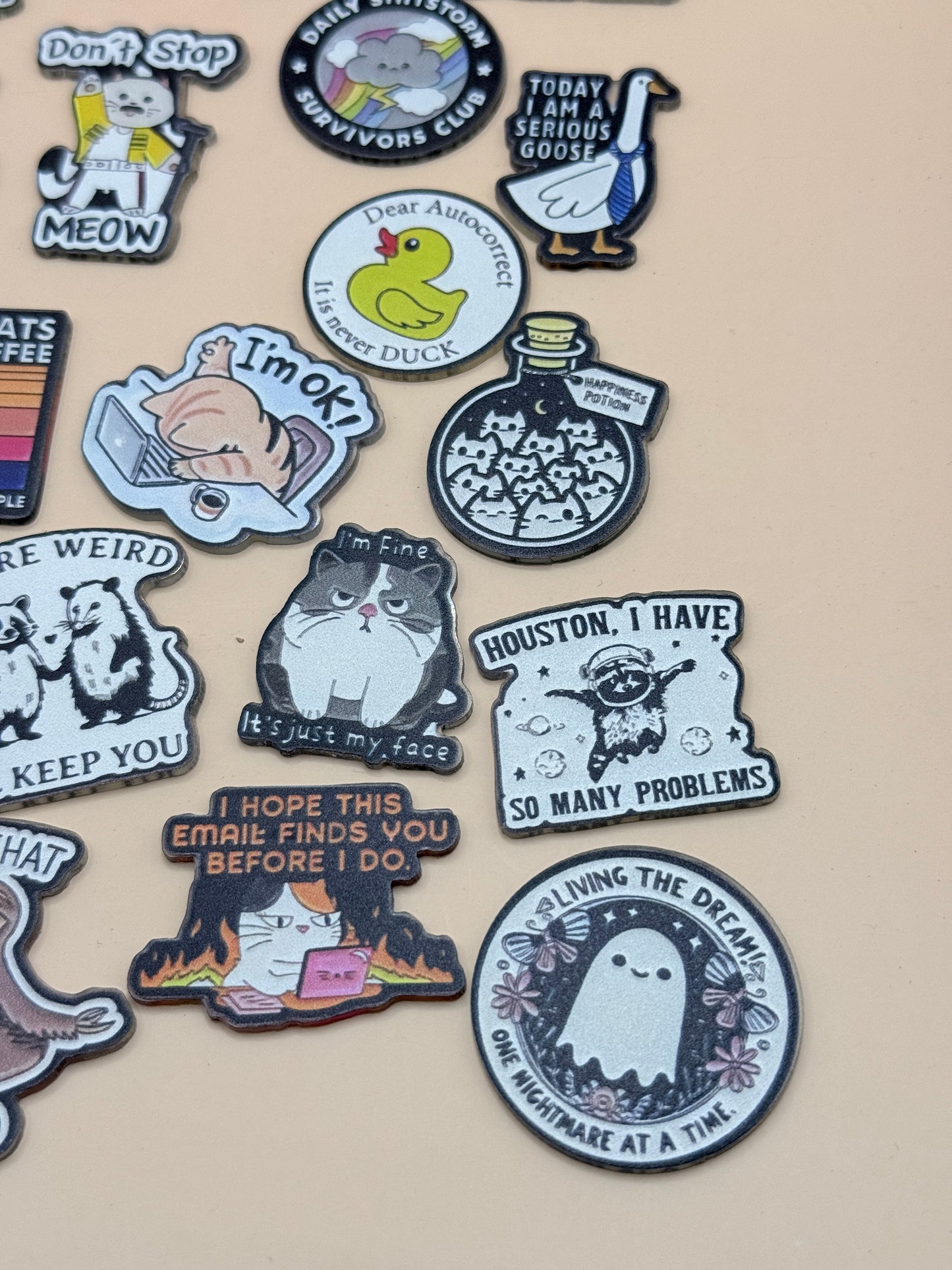 Assorted Meme & Animal Badge Pin Lot