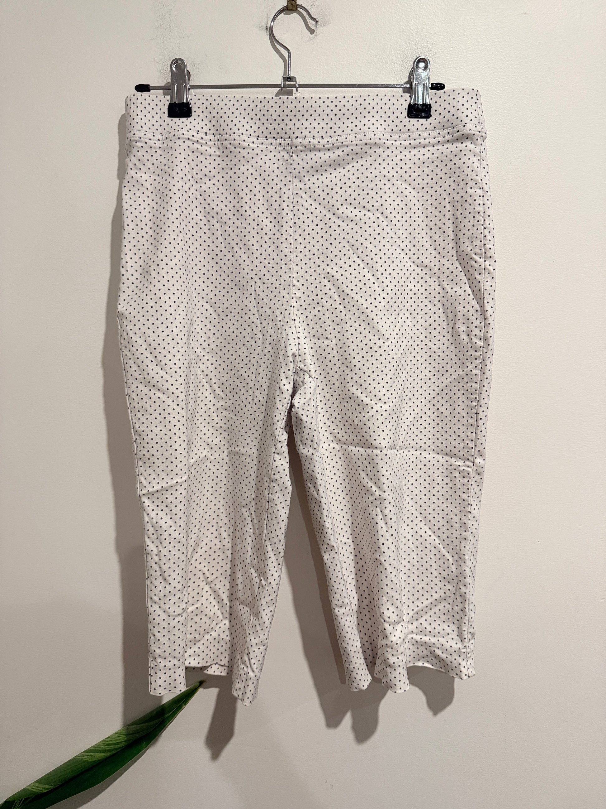 Ella J Cropped Capri Pants Size 8