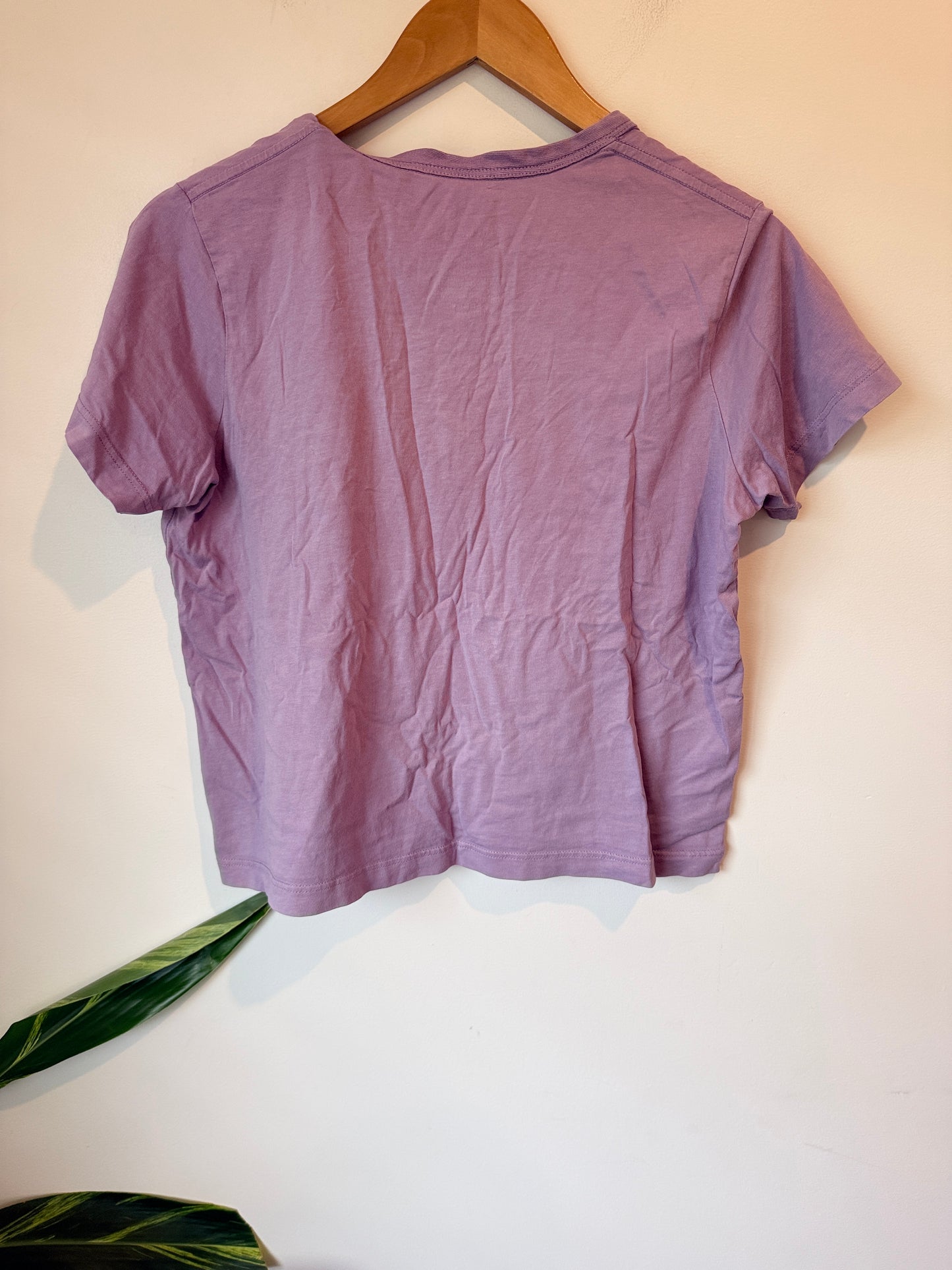 Champion Cropped T-shirt Size XS