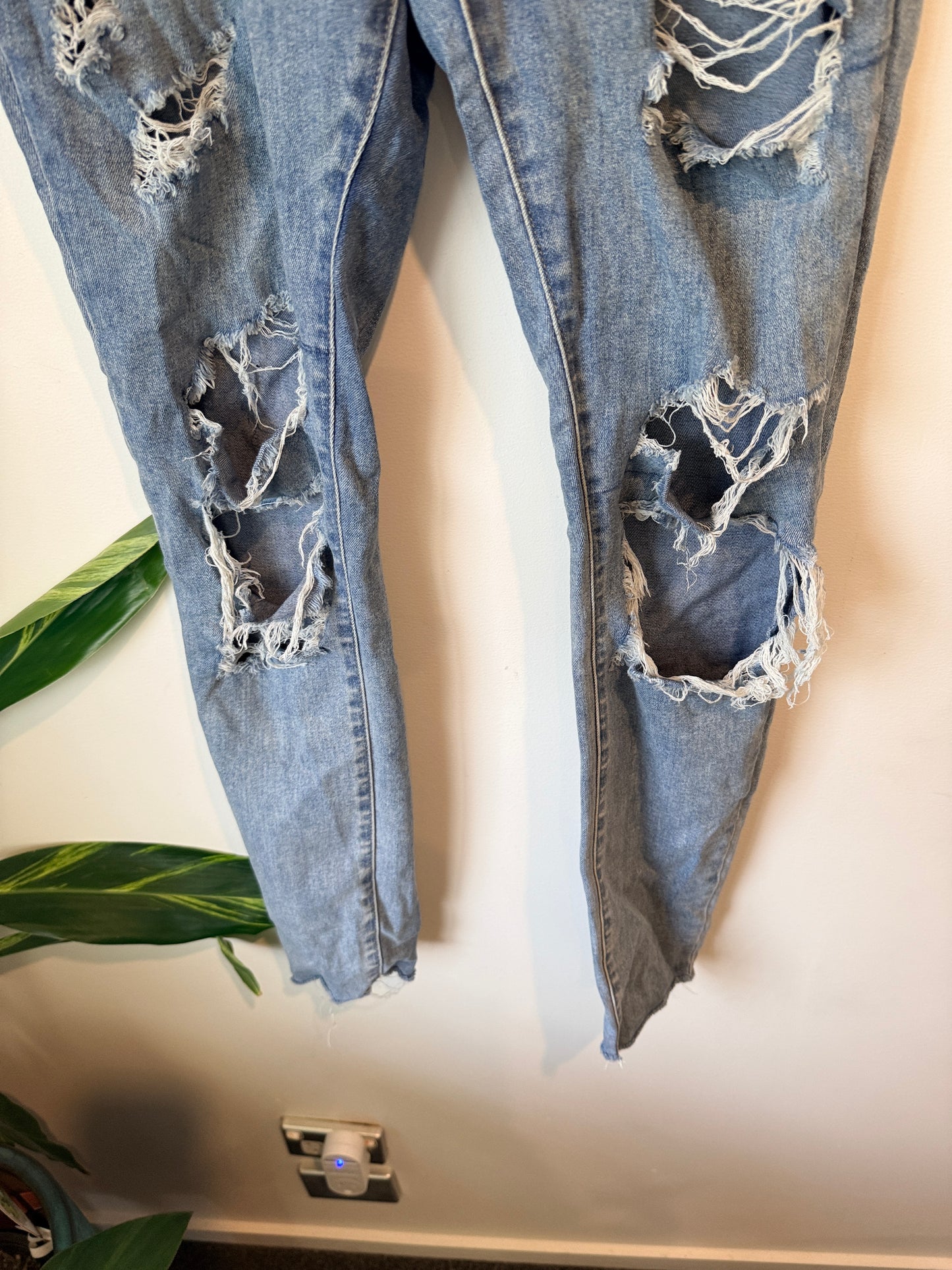 Seed Heritage High-rise Straight Jeans Size 10