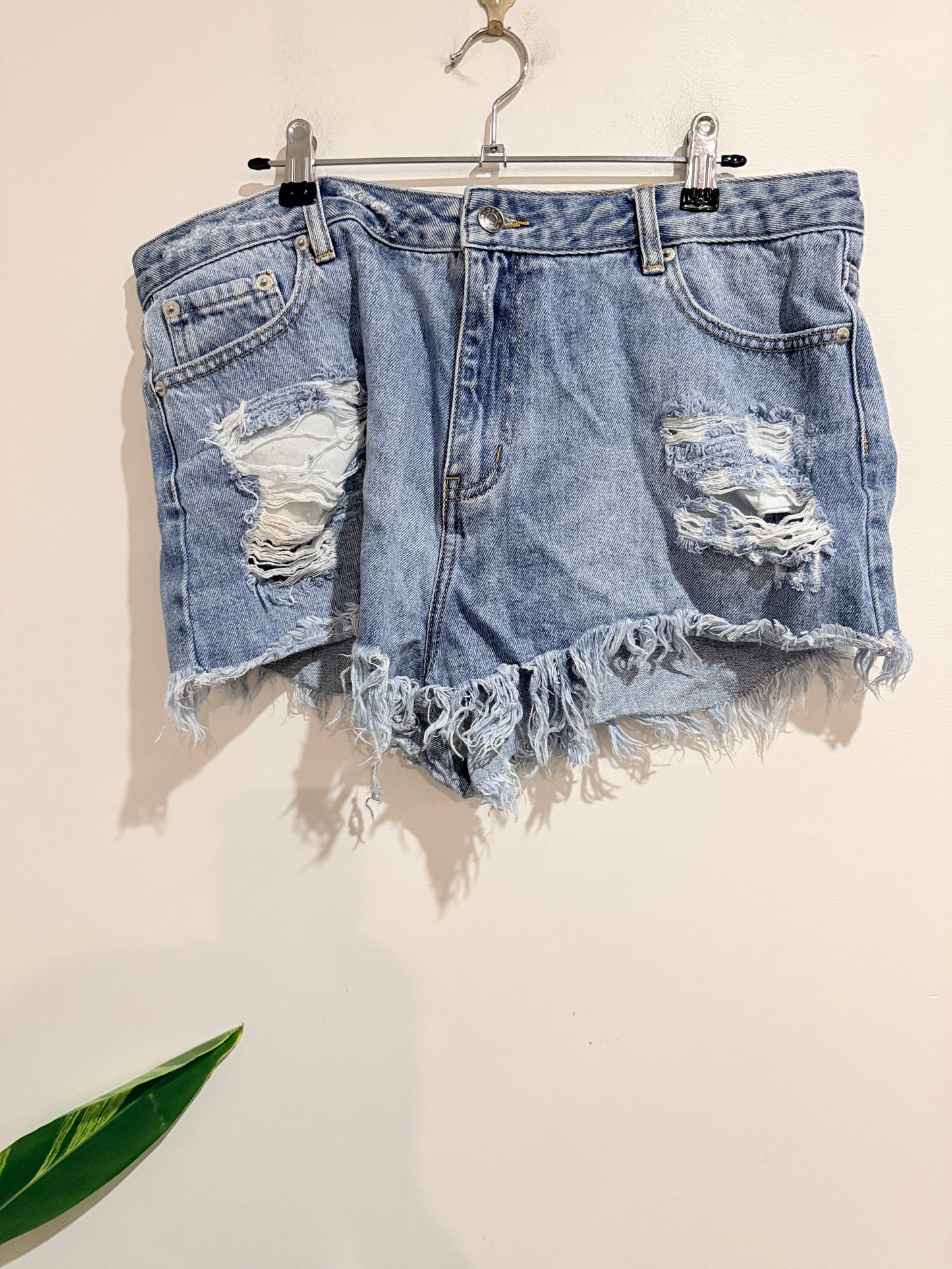 Glassons Distressed Denim Shorts Size 16