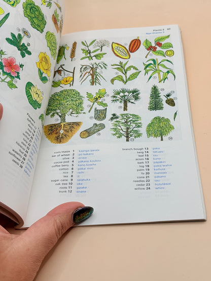 Oxford Maori Picture Dictionary by Pita Cleave, Katarina Mataira & Rangimarie Pere