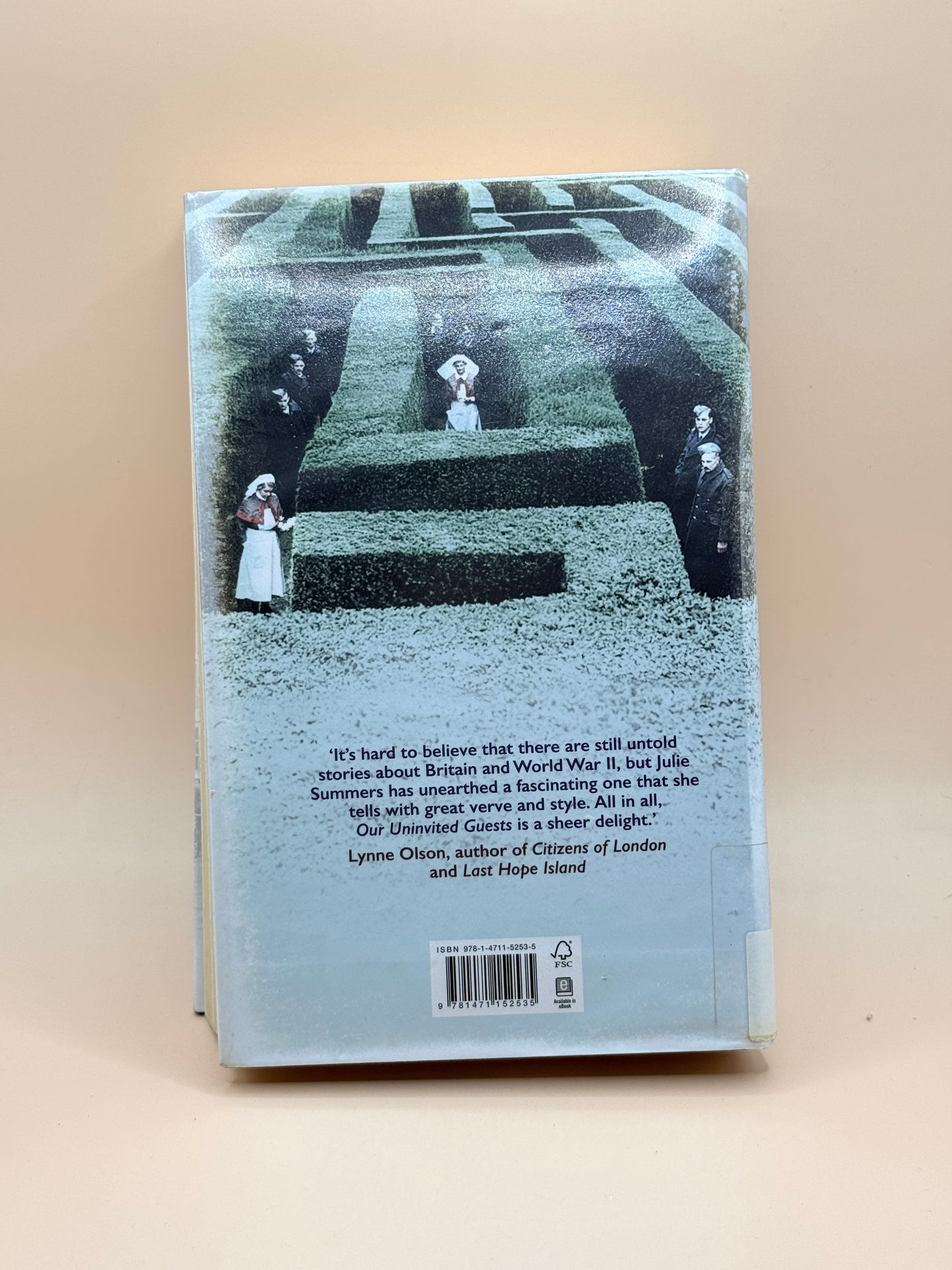 Our Uninvited Guests by Julie Summers