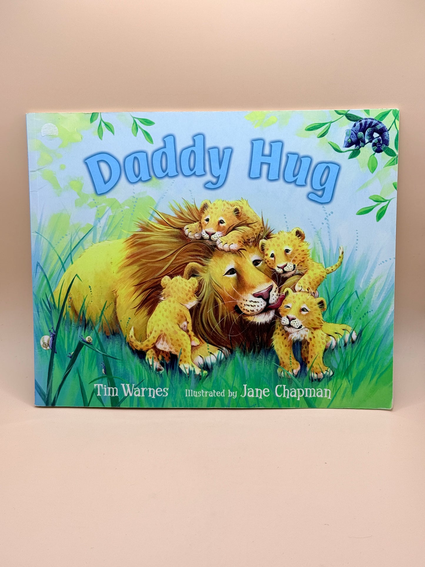 Daddy Hug by Tim Warnes