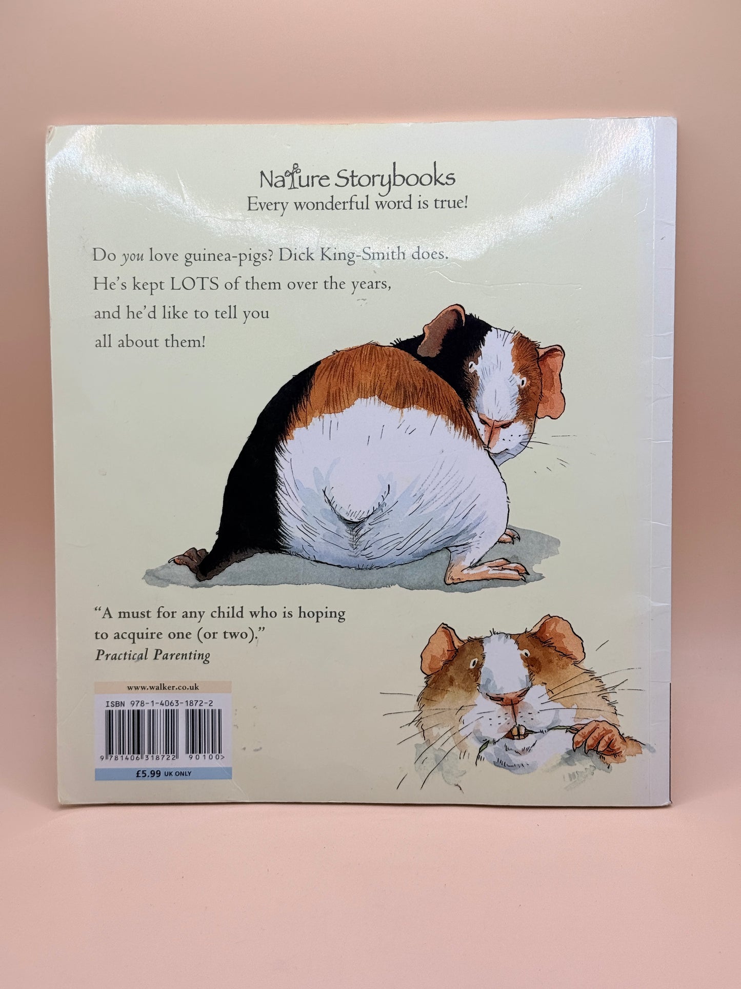 I Love Guinea-pigs by Dick King-Smith
