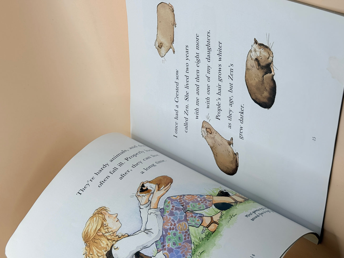 I Love Guinea-pigs by Dick King-Smith