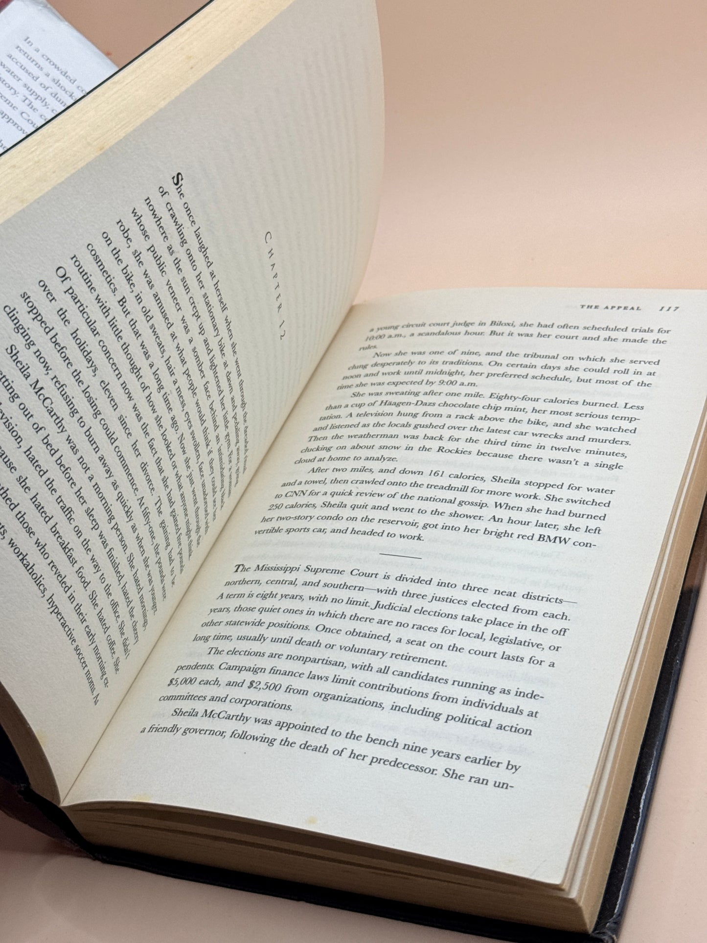 The Appeal by John Grisham