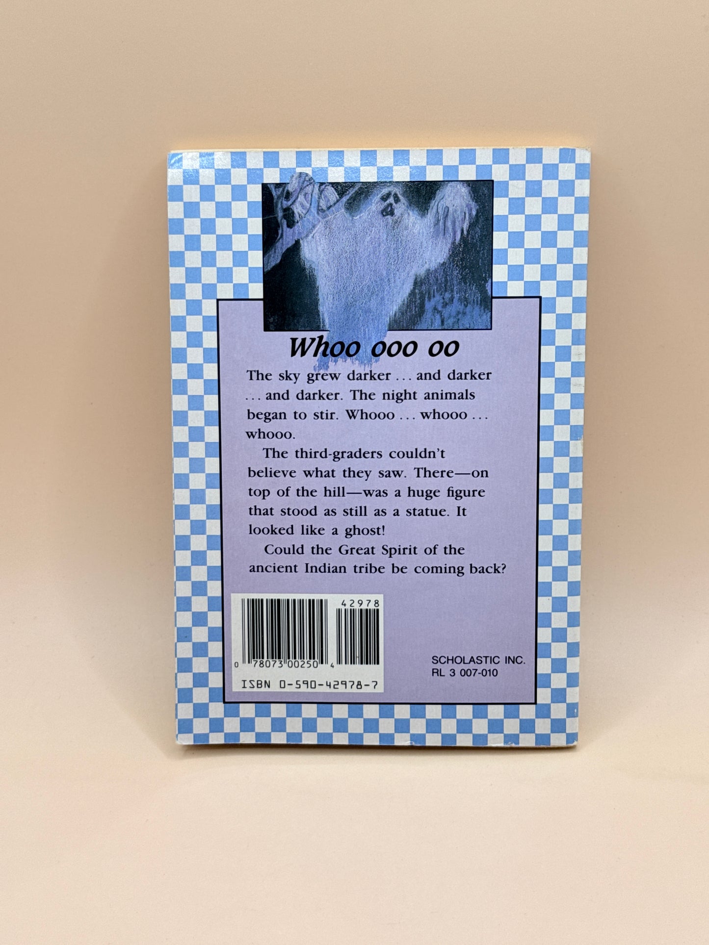 The Ghost on the Hill by Grace Maccarone