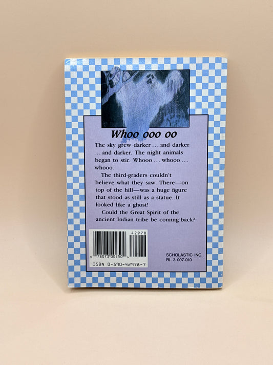 The Ghost on the Hill by Grace Maccarone