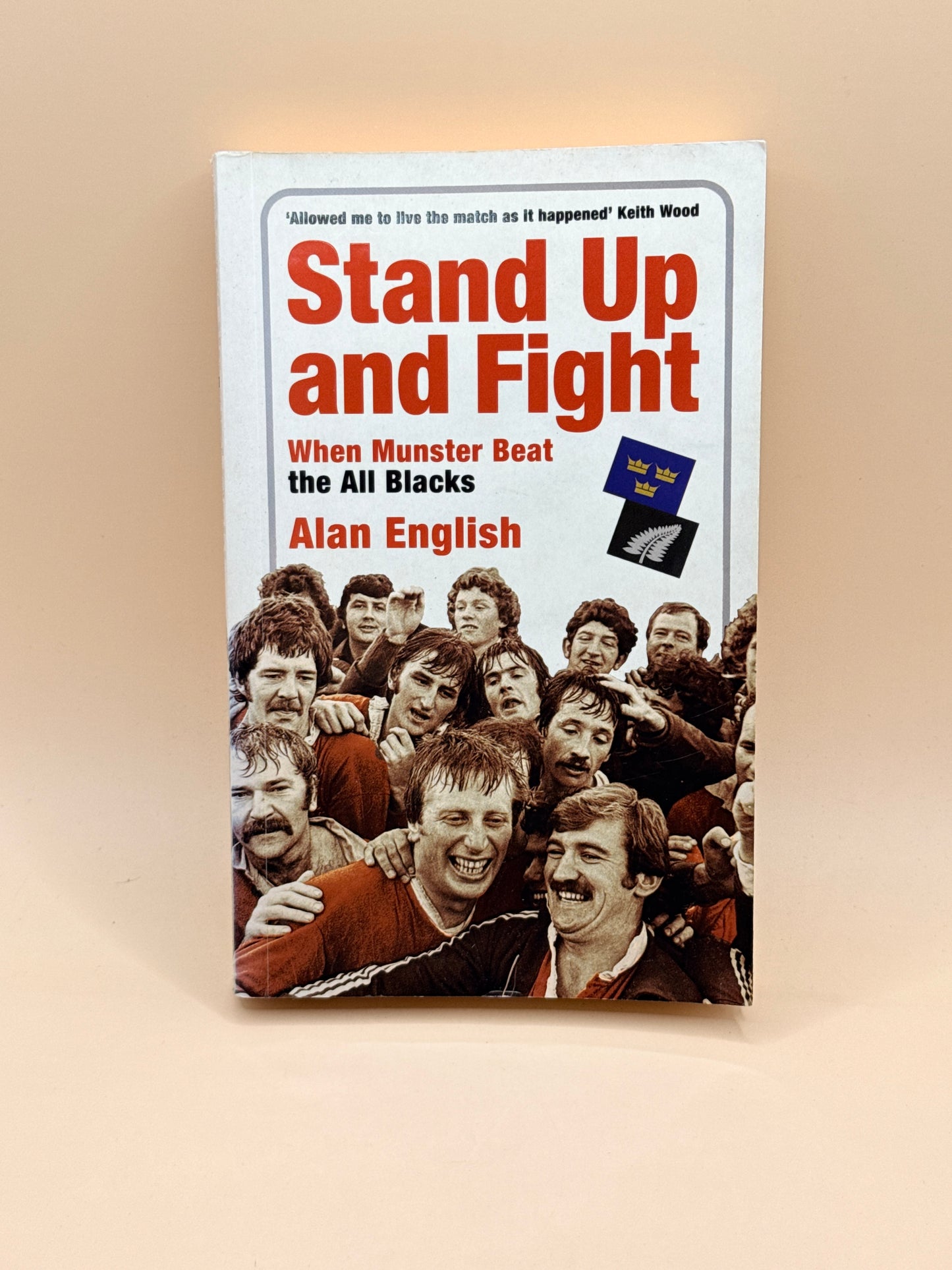 Stand Up and Fight: When Munster Beat the All Blacks by Alan English