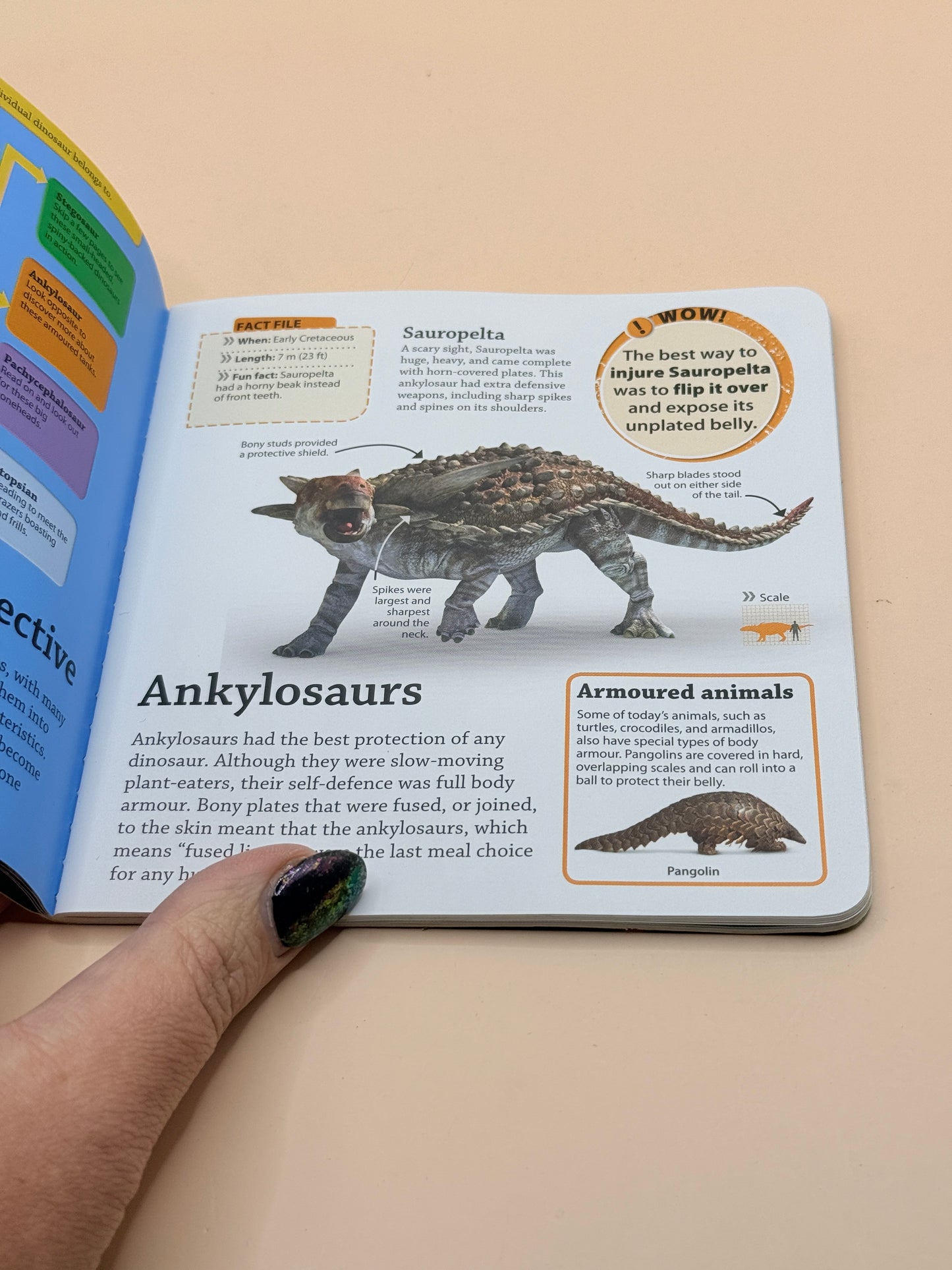 DK findout! Dinosaurs by DK