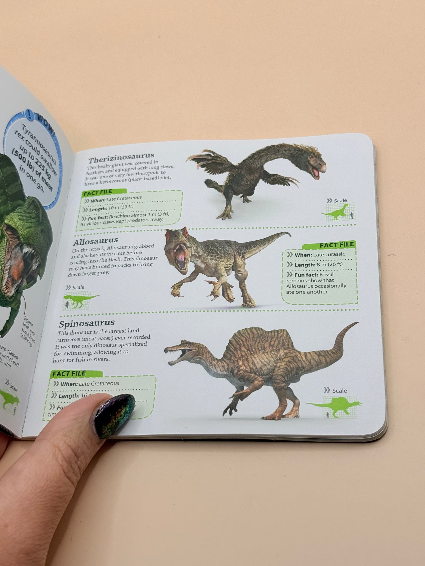 DK findout! Dinosaurs by DK