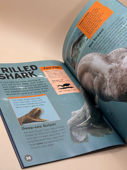 Sharks: Predators of the Sea by Anna Claybourne
