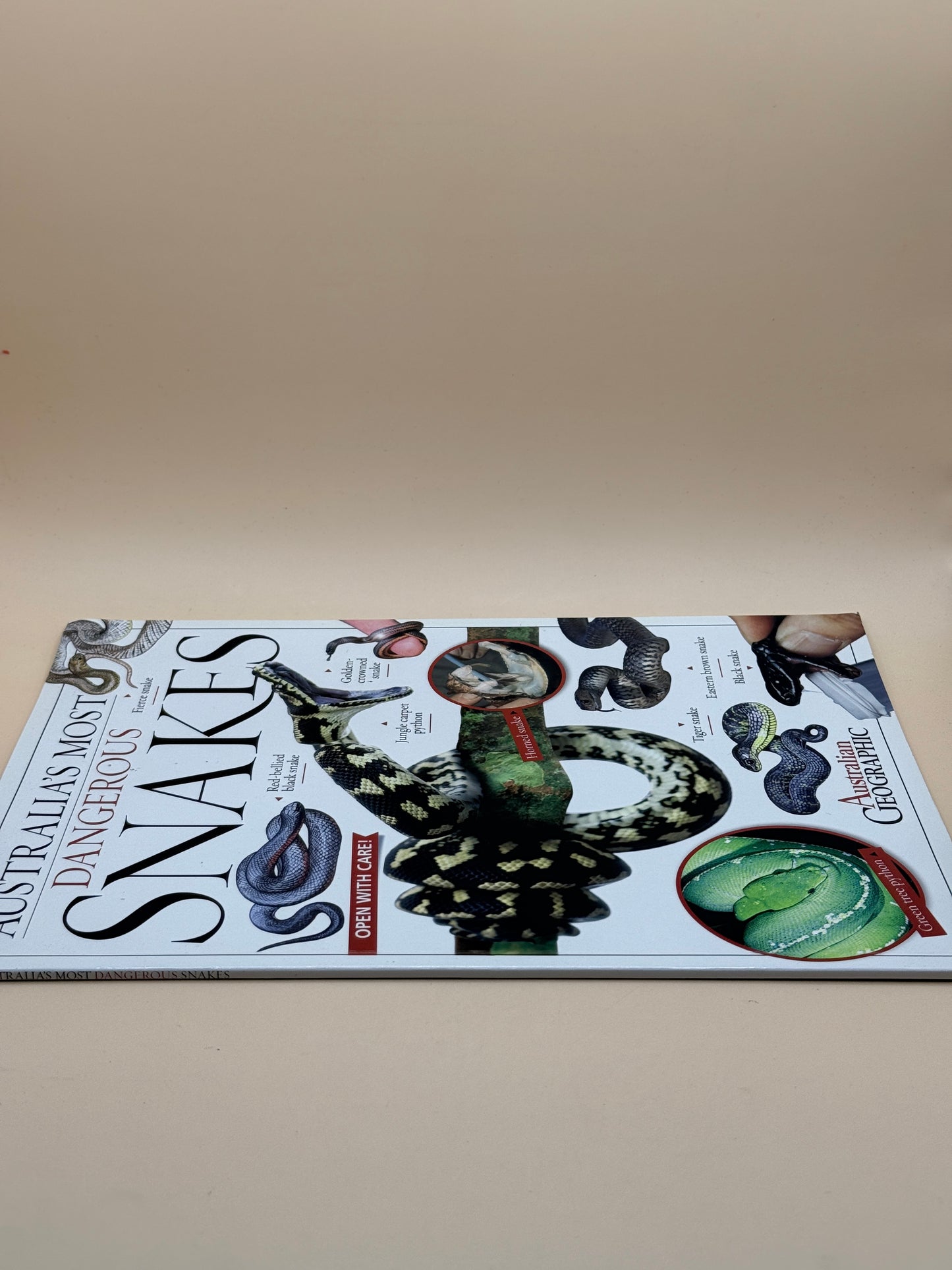 Australia's Most Dangerous Snakes by Kathy Riley