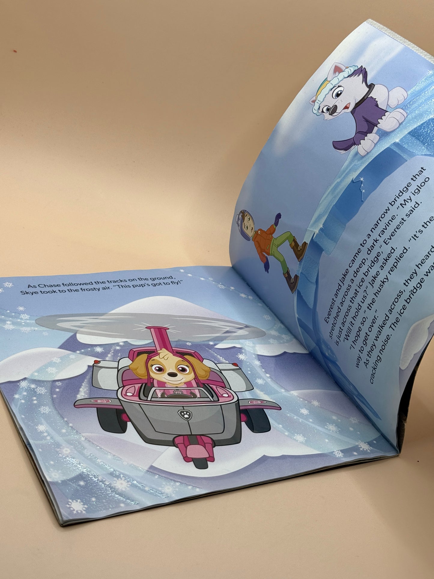 PAW Patrol: Ice Team by Nickelodeon