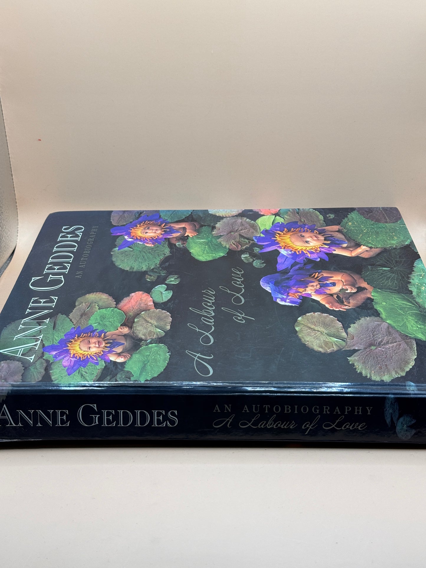 A Labour of Love by Anne Geddes
